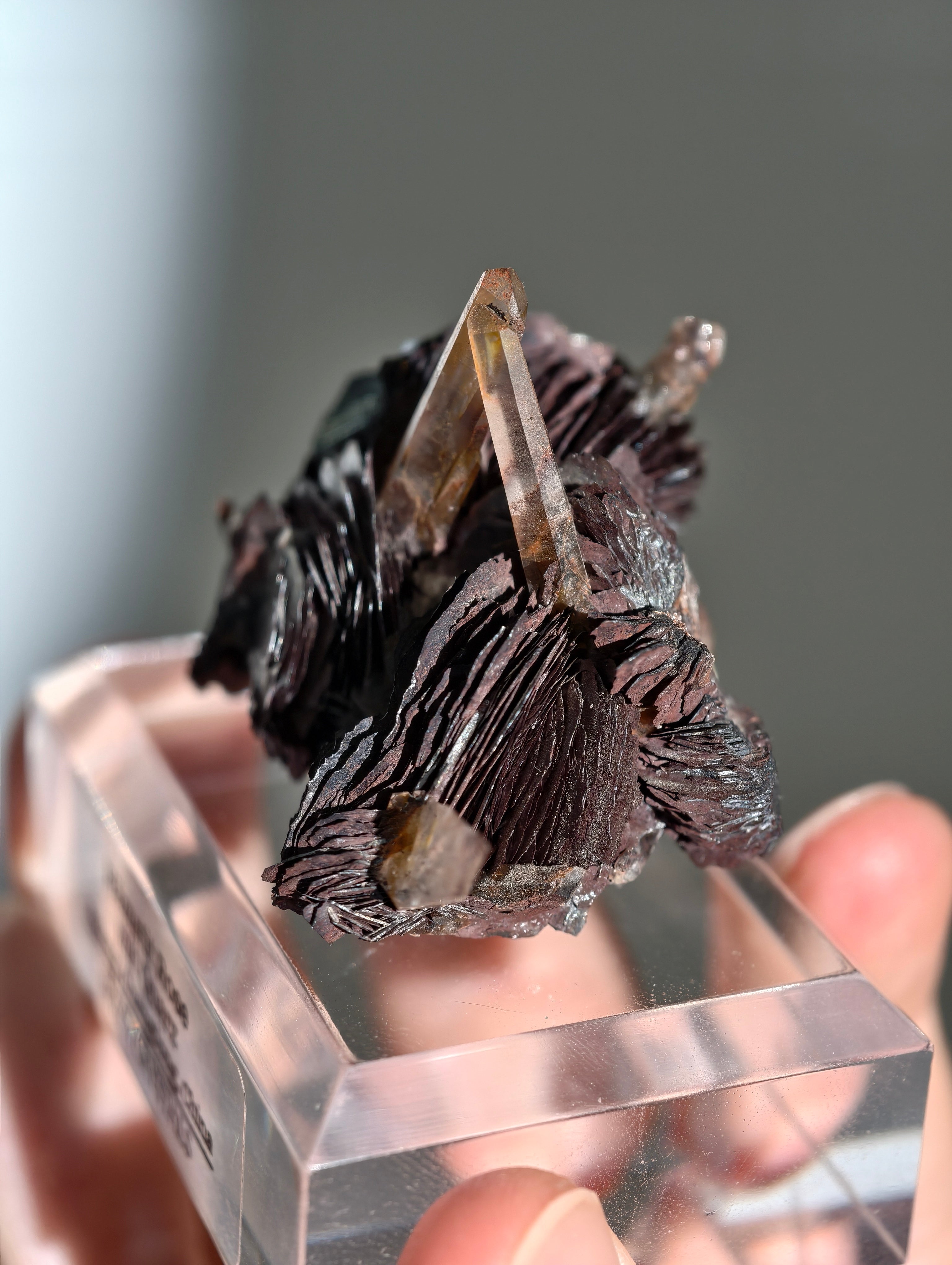 Rote Hämatit Rose mit Hämatitquarz aus Jinlong