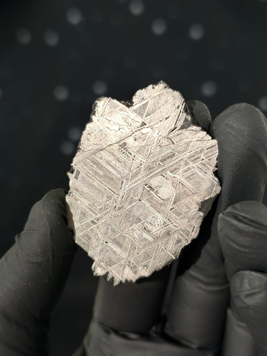 Muonionalusta Meteorit Scheibe 20,0g mit Zertifikat