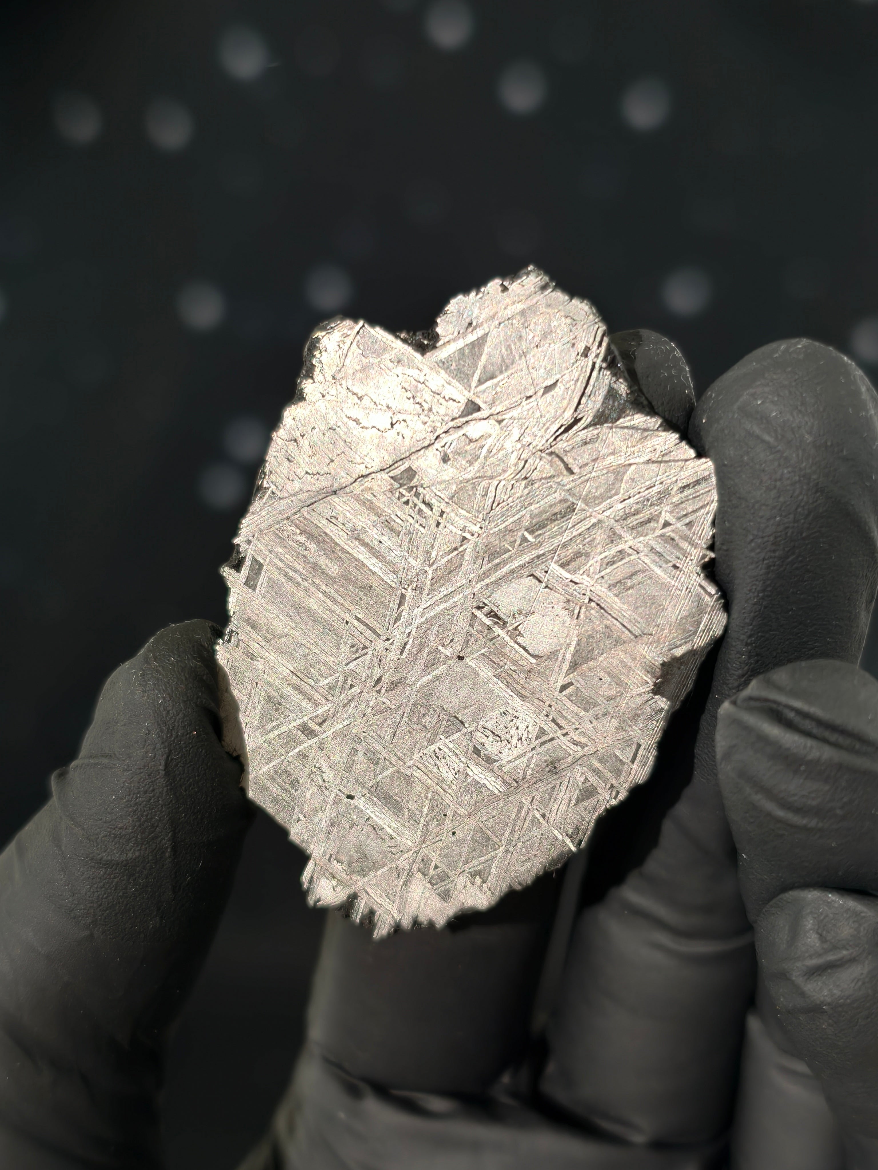 Muonionalusta Meteorit Scheibe 20,0g mit Zertifikat
