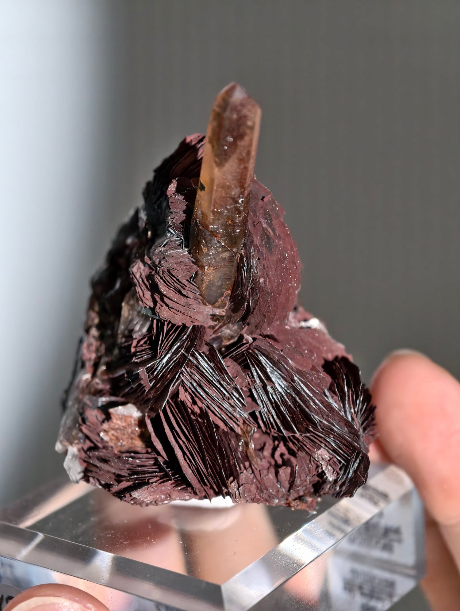 Rote Hämatit Rose mit Hämatitquarz aus Jinlong