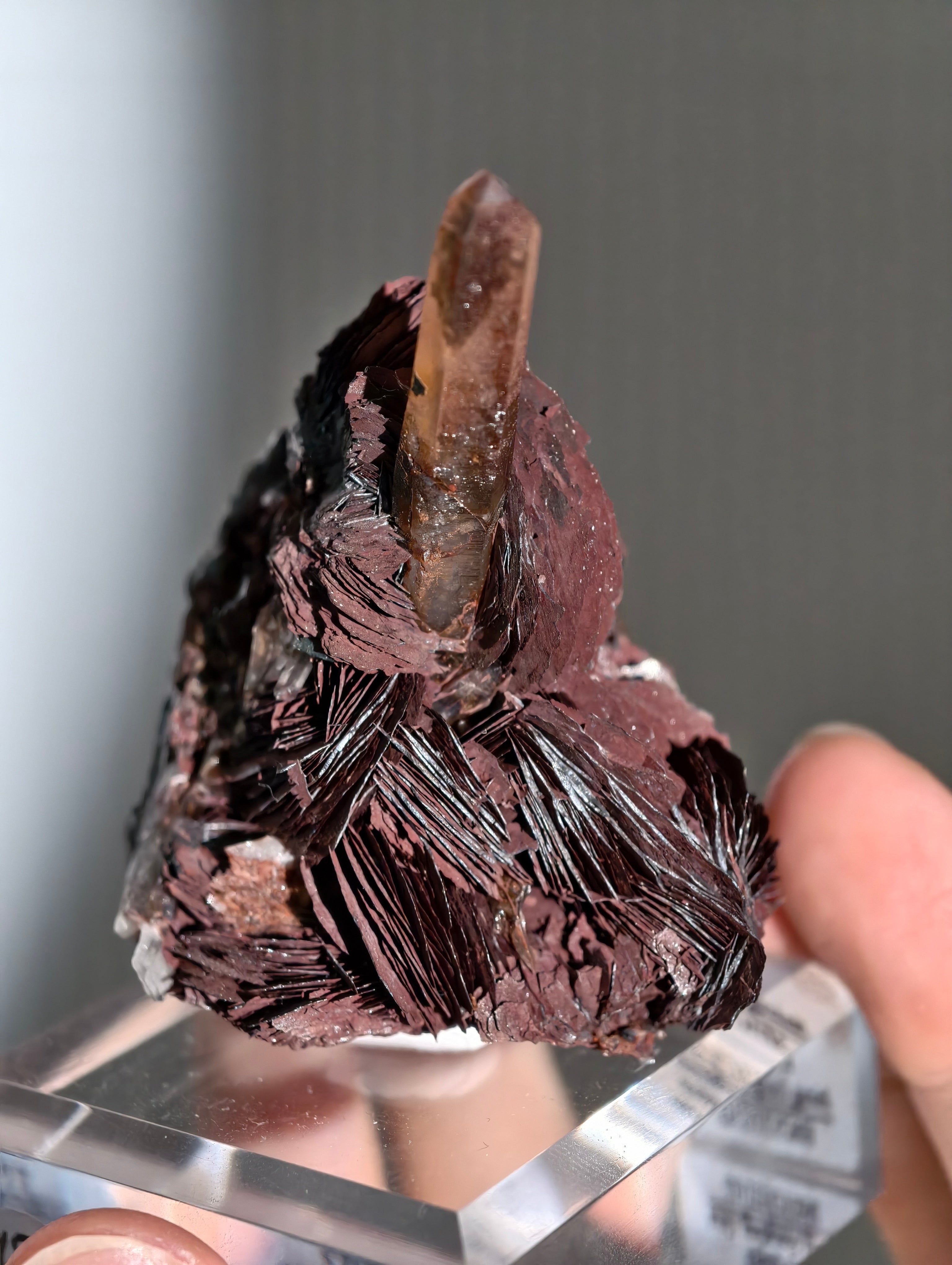 Rote Hämatit Rose mit Hämatitquarz aus Jinlong