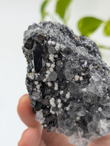 Neuer Fund! Tetraedrit mit Fluorit und Calcit aus Peru