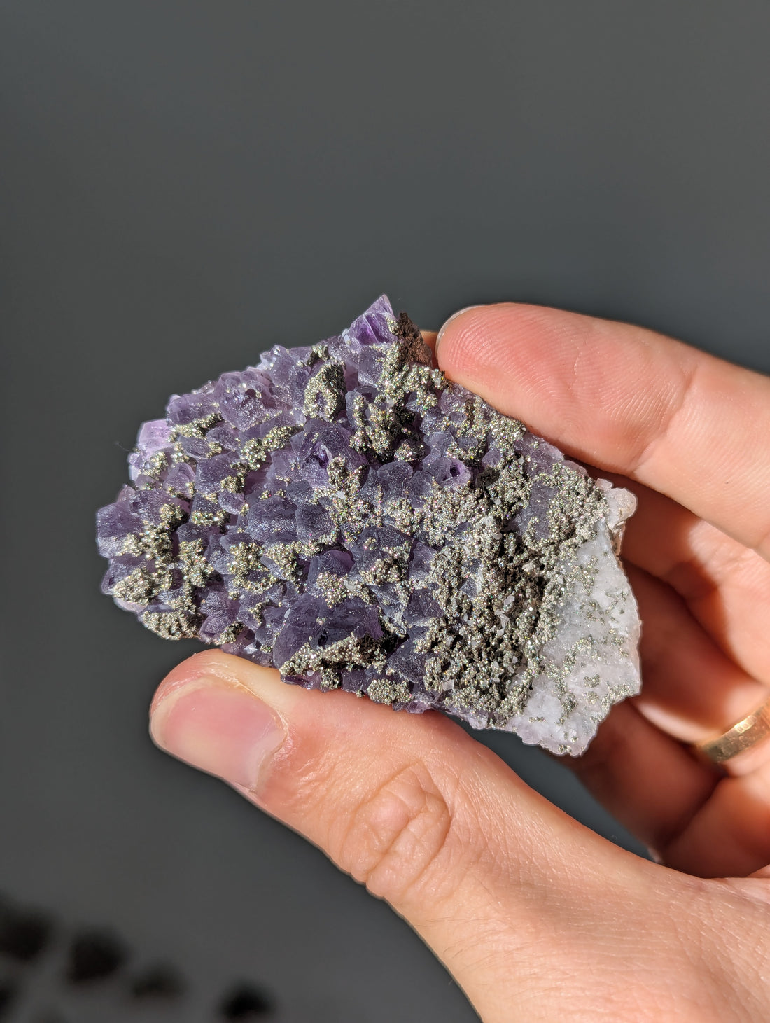 Pyrit auf dunkellila Amethyst aus Bulgarien ✨