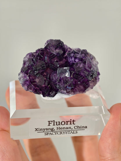 Lila Fluorit Würfel Cluster aus Xinyang