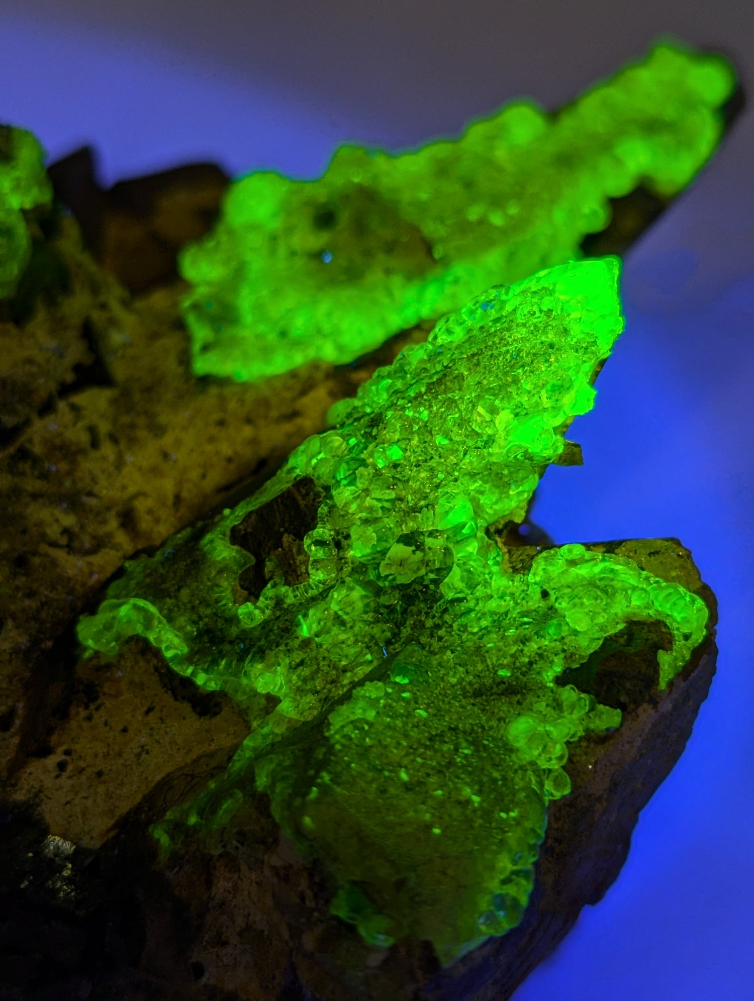 Rauchquarz Cluster mit UV-Aktivem Hyalit Opal Erongo Namibia