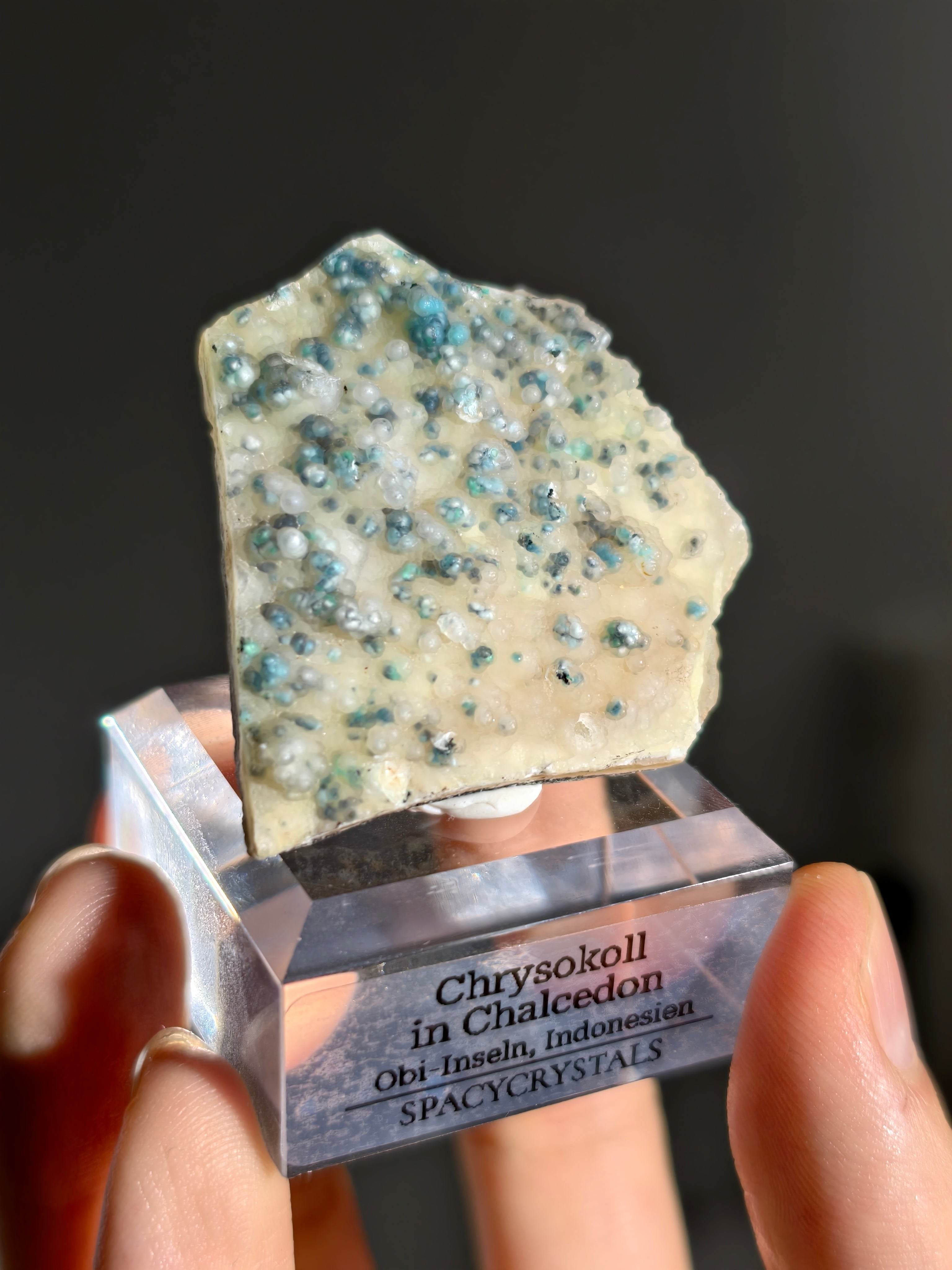 Neufund! Chrysokoll in Chalcedon aus Indonesien