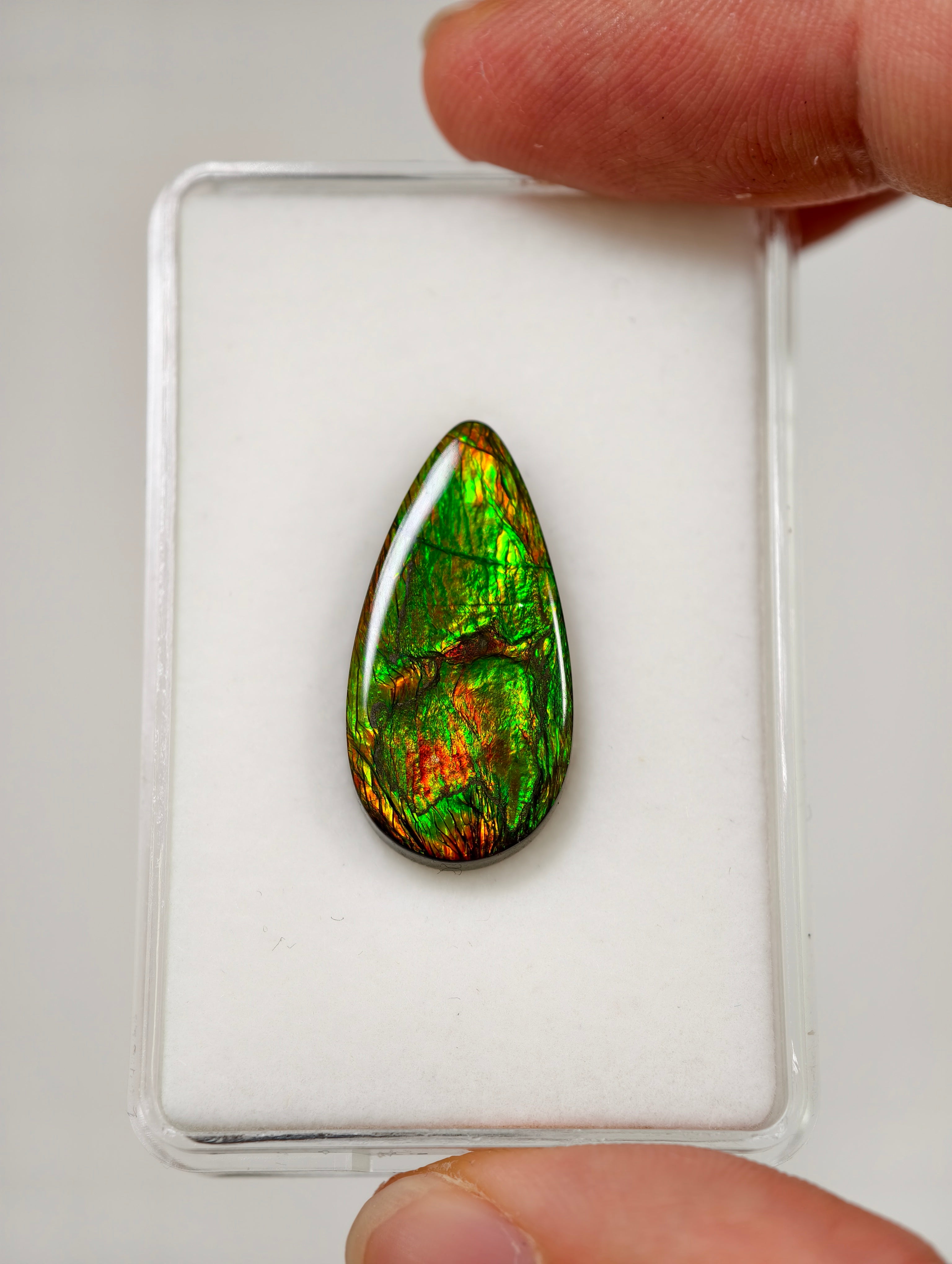 Ammolit Cabochons aus Kanada (TOP QUALITÄT)