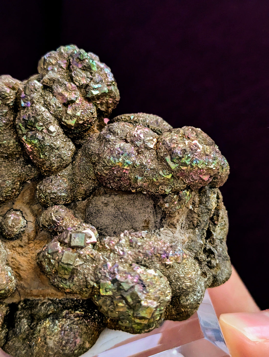 Irisierender Pyrit auf Limonit 🌈