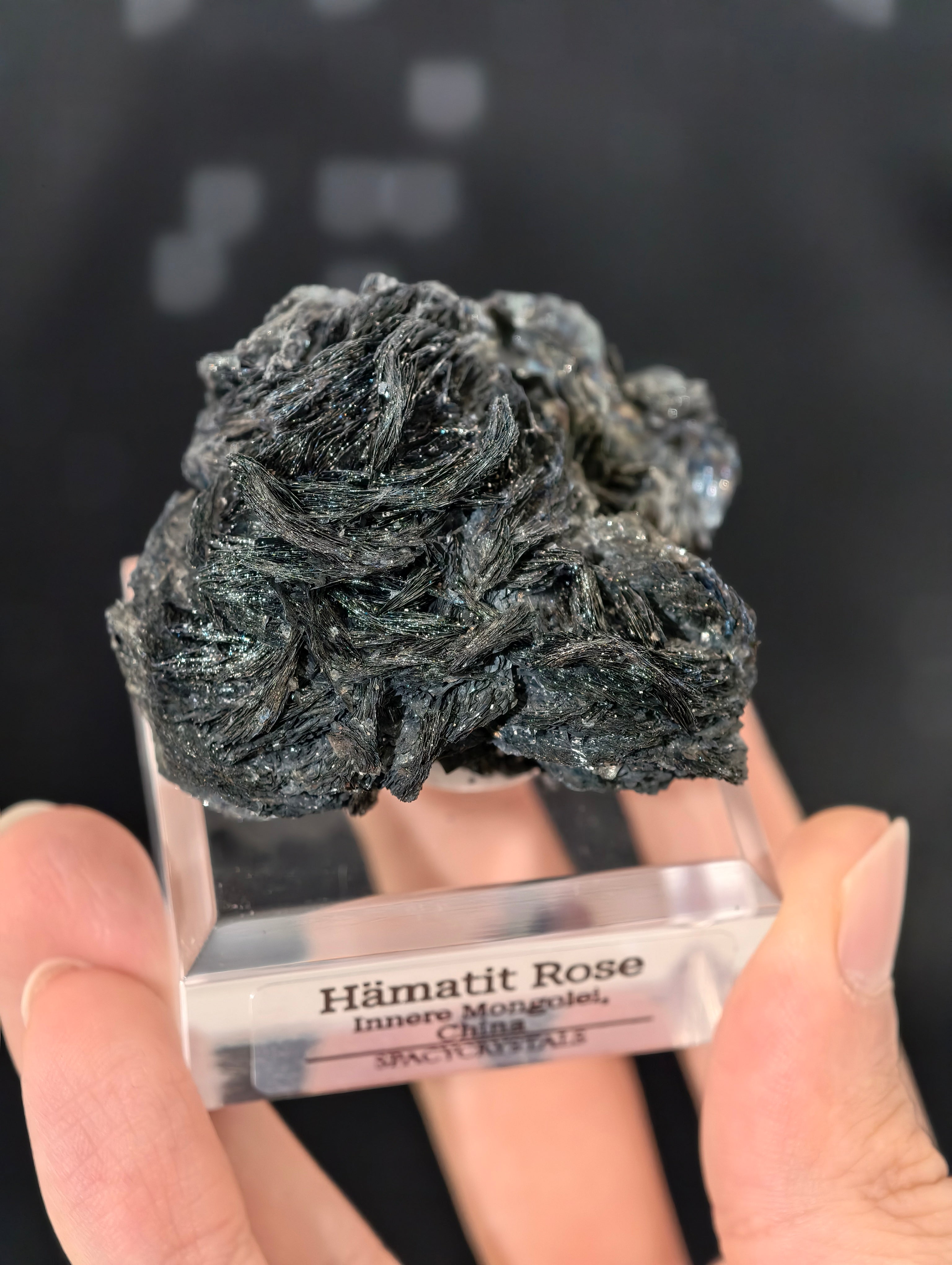 Schwarze Hämatit Rosen, Innere Mongolei, China 🌹
