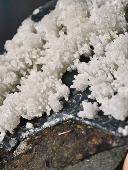 Chalcedon Stalaktiten auf dunklem Chalcedon (2. Generation) Neu!