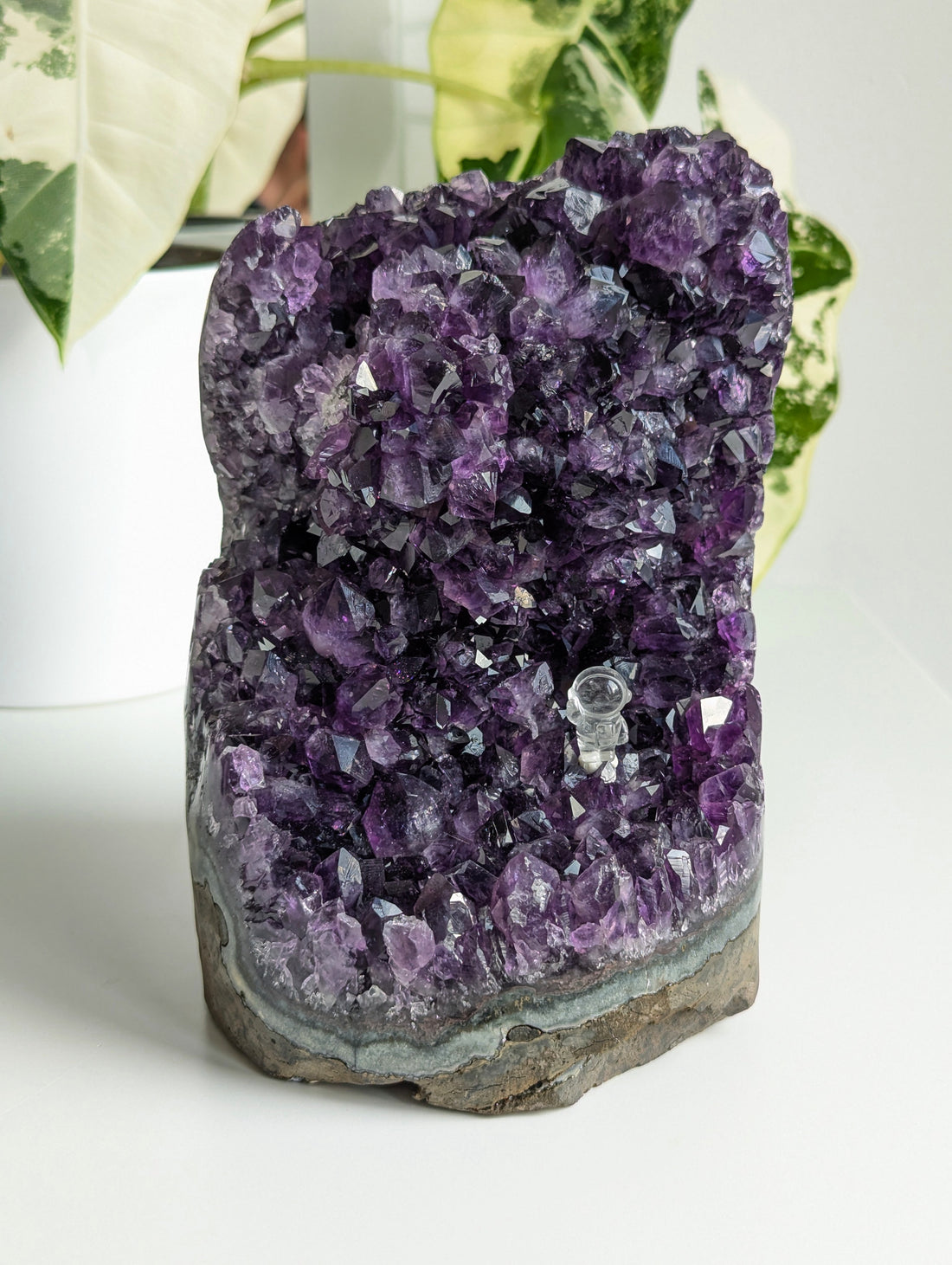 große Amethyst Druse AA-Qualität aus Uruguay