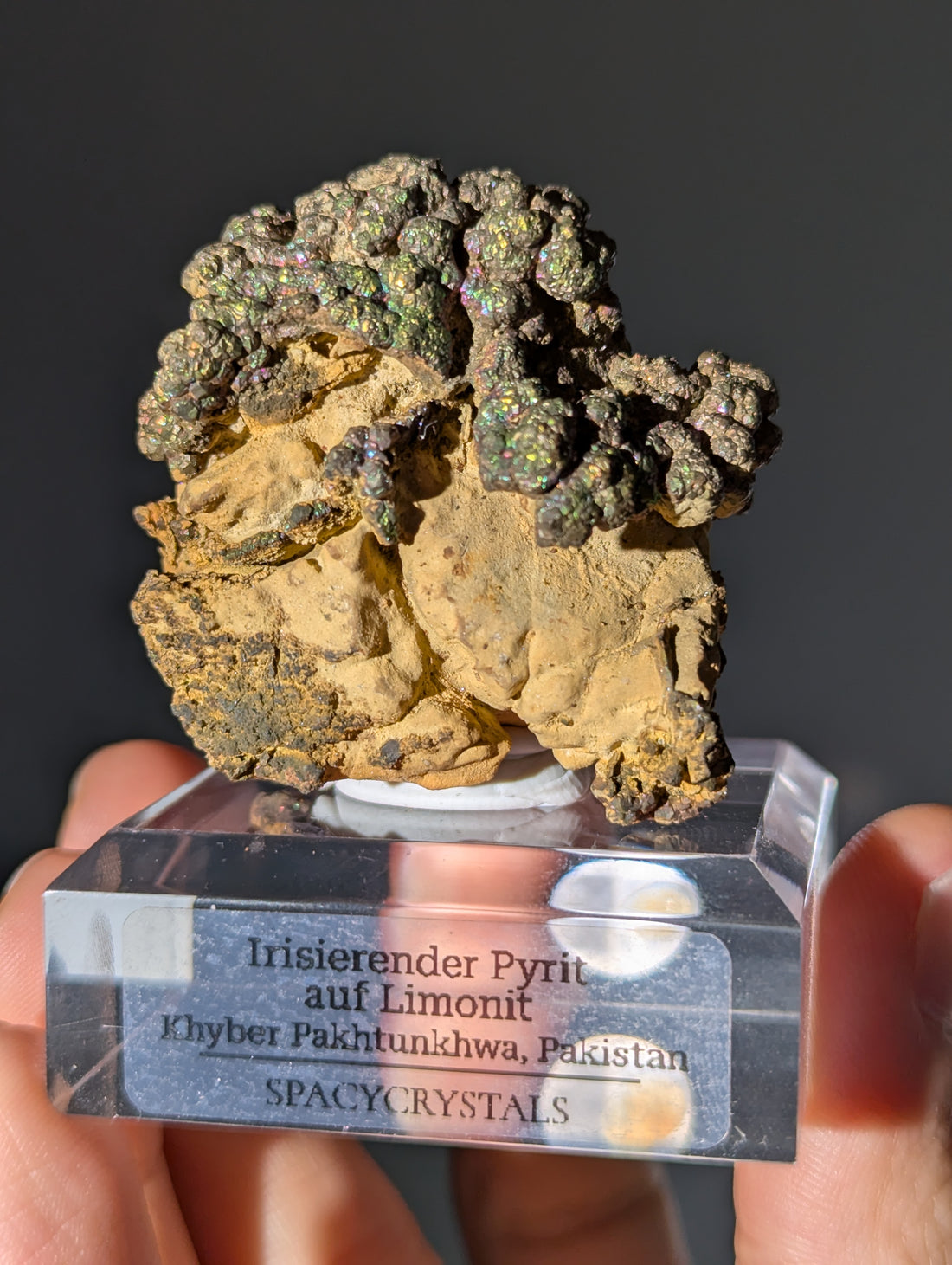 Irisierender Pyrit &quot;Bonsai&quot; auf Limonit