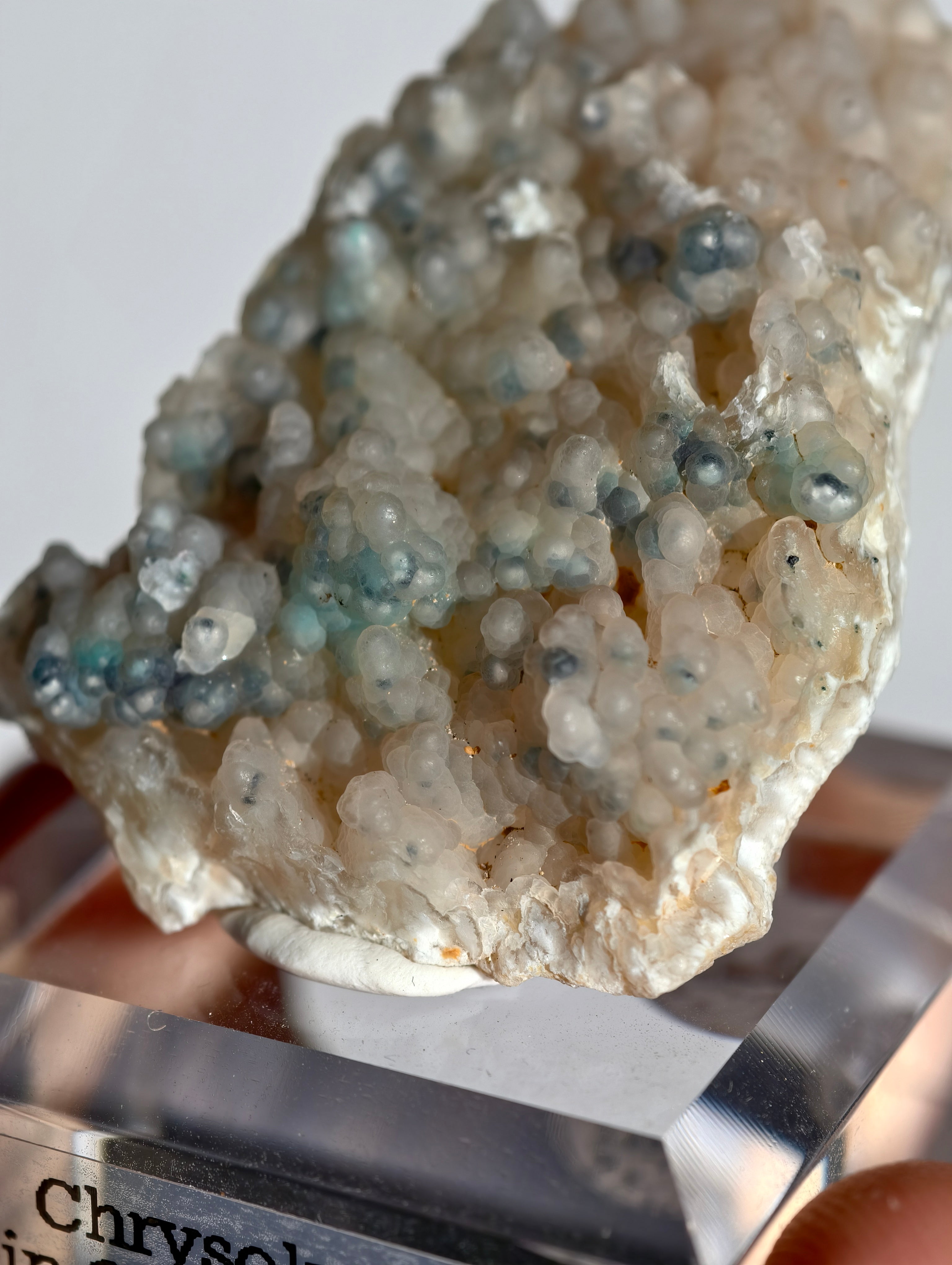 Neufund! Chrysokoll in Chalcedon aus Indonesien