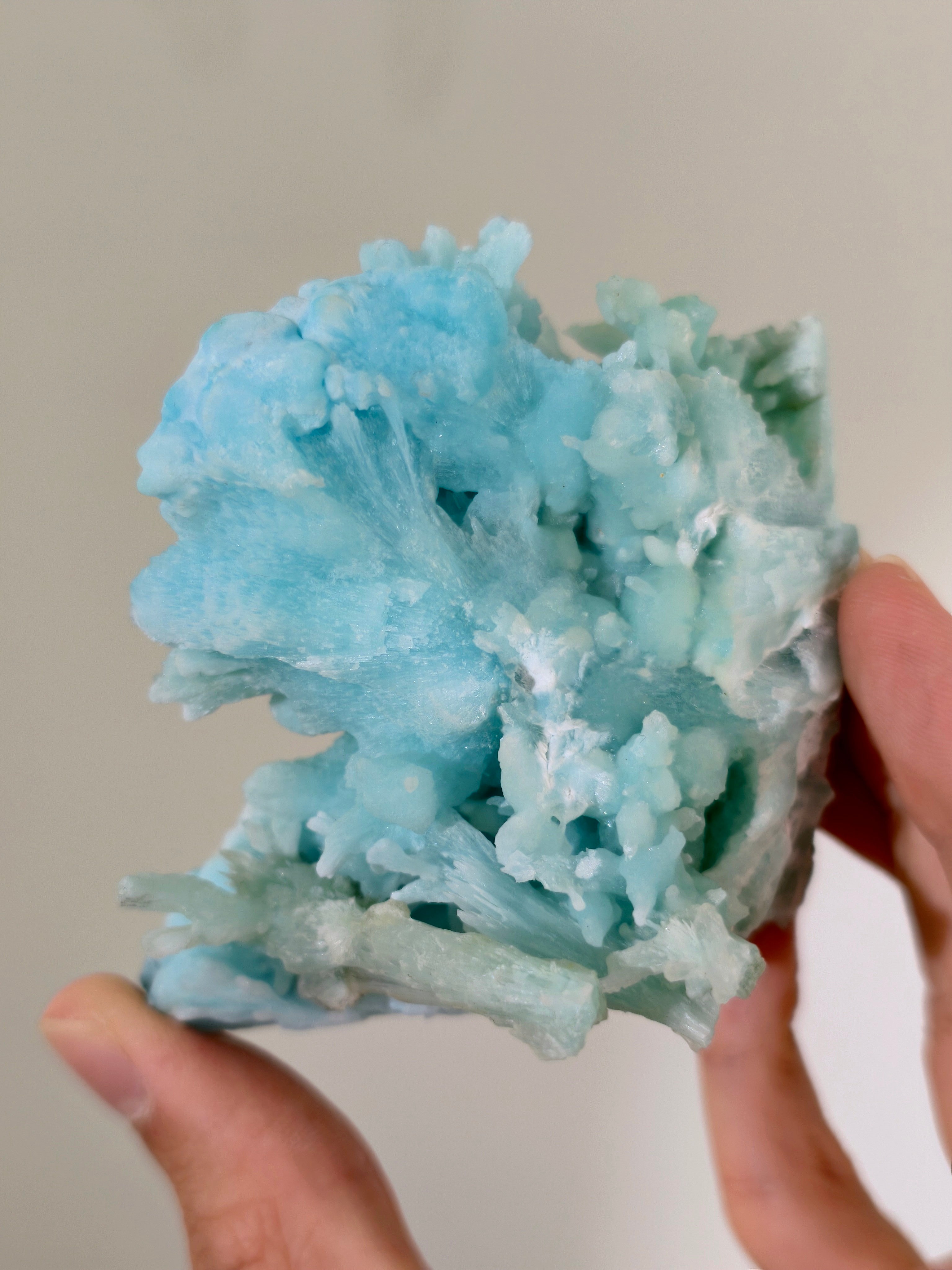 Wow! Blauer Aragonit 🪸🩵 aus der Wenshan Mine