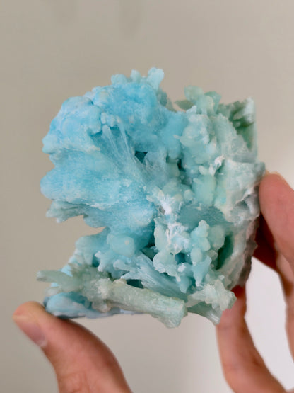 Wow! Blauer Aragonit 🪸🩵 aus der Wenshan Mine