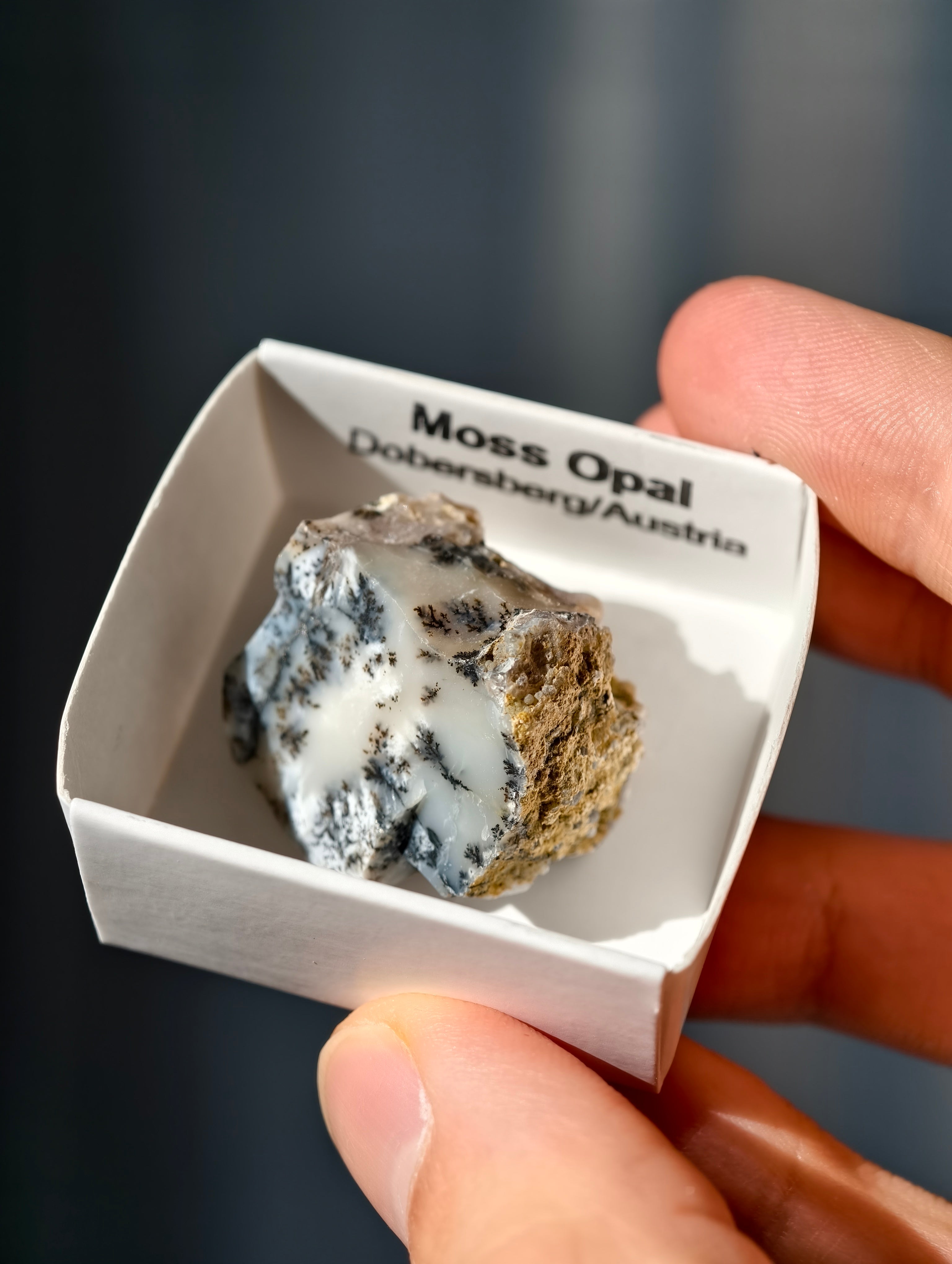 kleiner Moosopal aus Österreich 🇦🇹