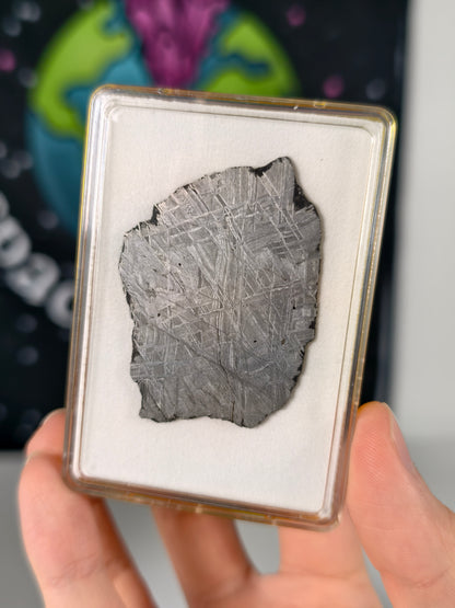 Muonionalusta Meteorit Scheibe 19,15g mit Zertifikat