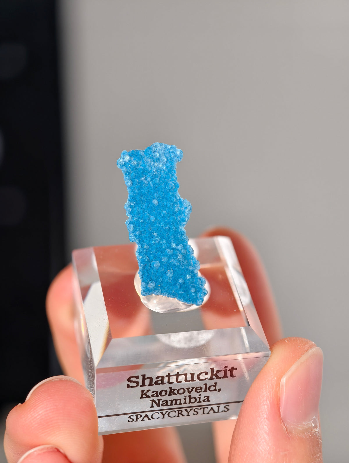 Botryoidaler blauer Samt Shattuckit auf Podest