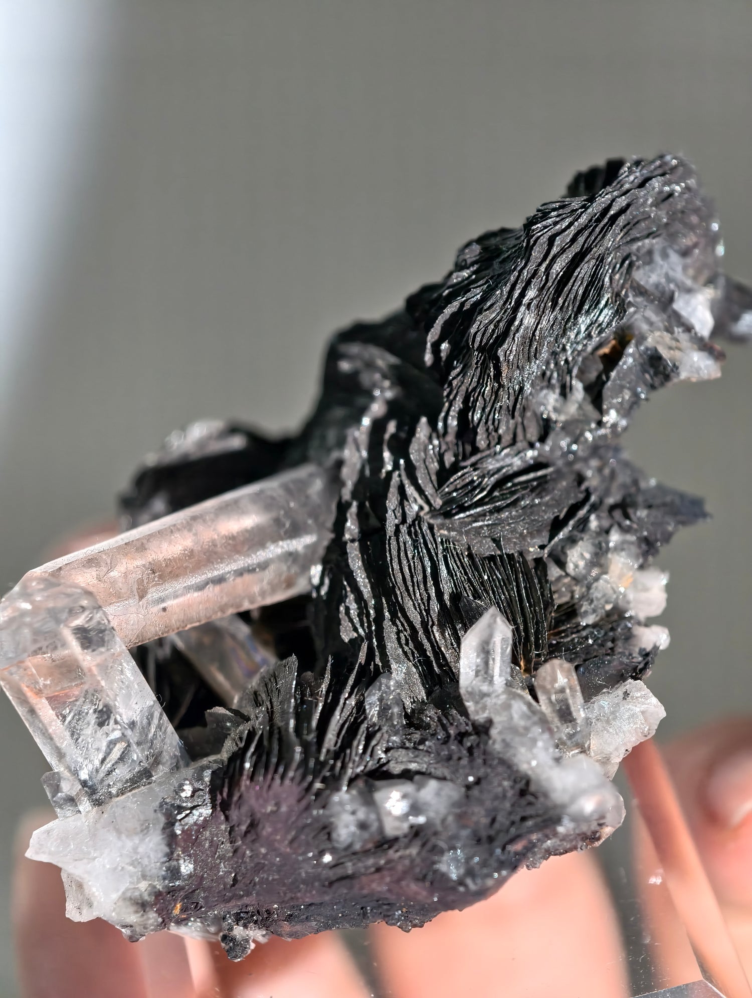 Schwarze Hämatit Rose mit Bergkristall aus Jinlong