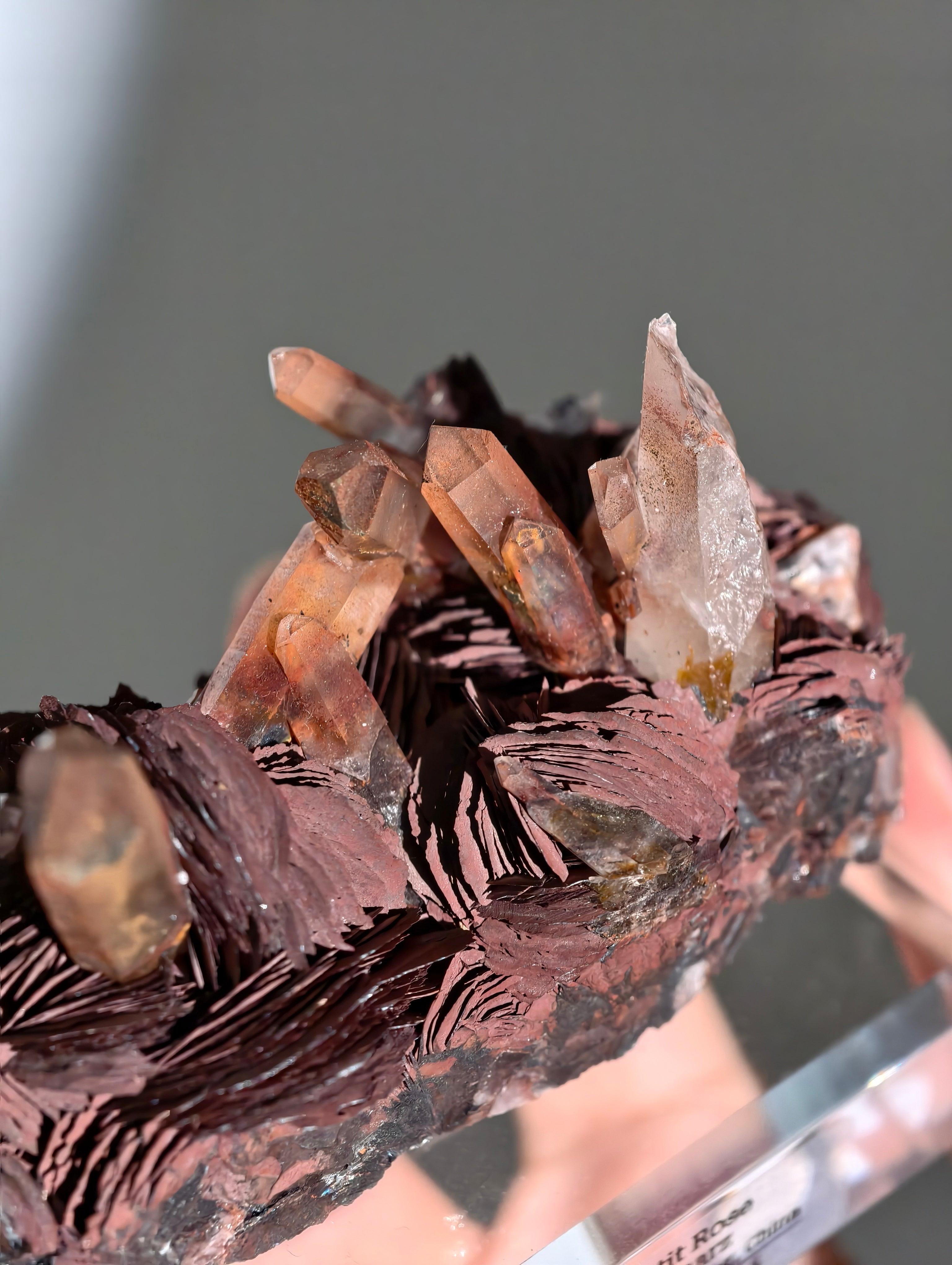 Rote Hämatit Rose mit Hämatitquarz aus Jinlong