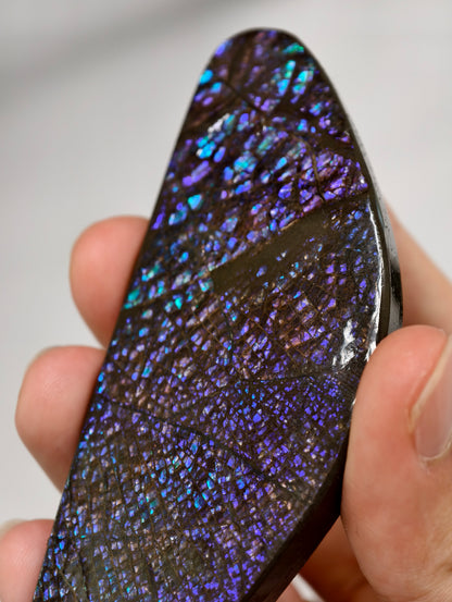 Dragonscale Ammolit Freiform aus Kanada lila/blau