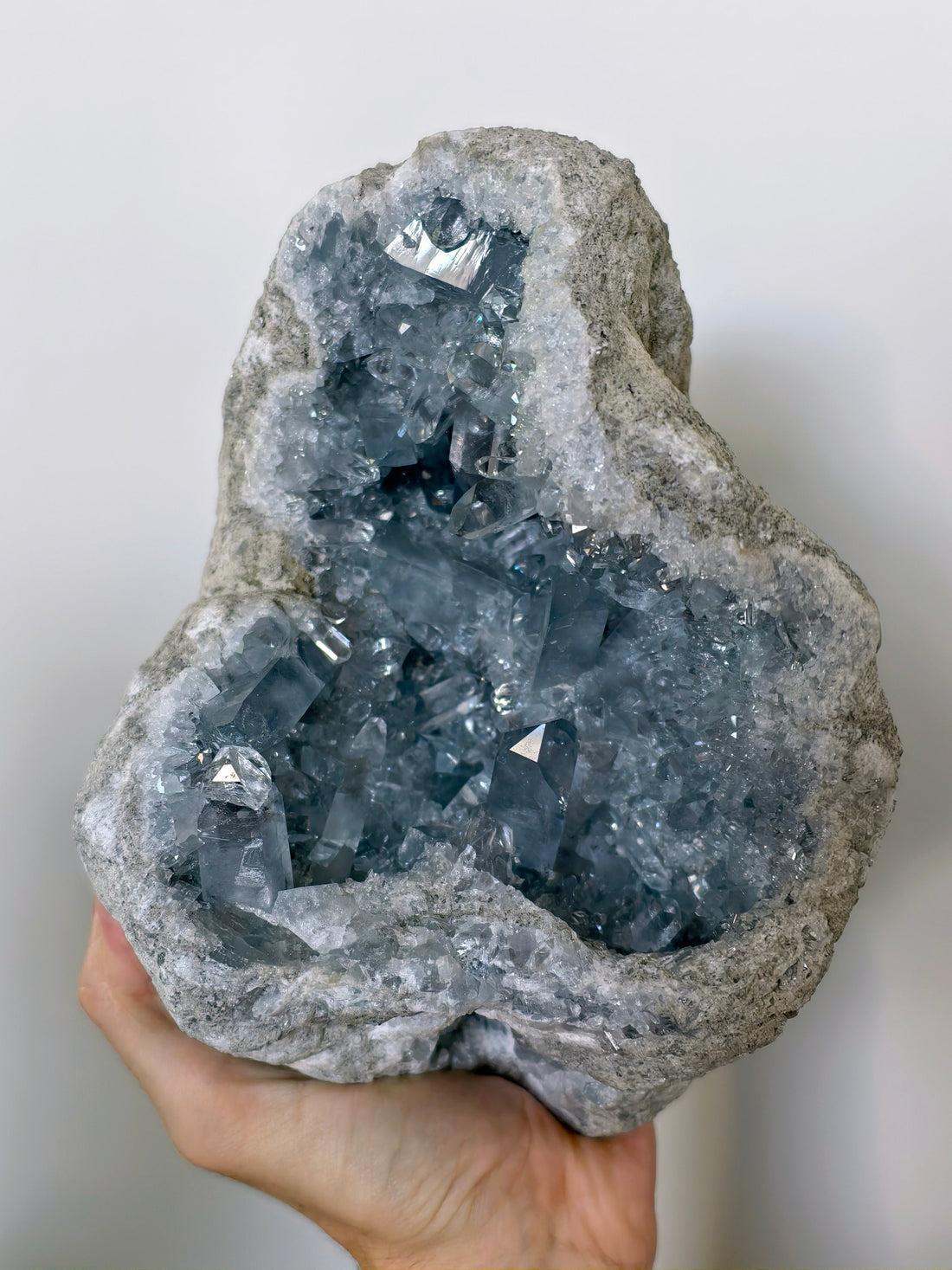 XL Coelestin Geode mit großen Kristallen! 💎