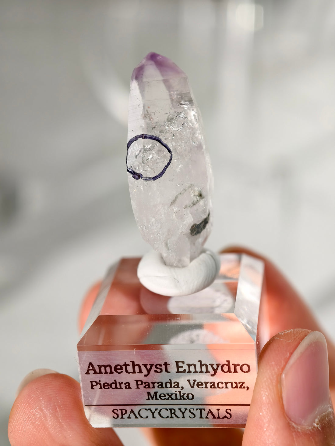 Vera Cruz Amethyst Enhydro