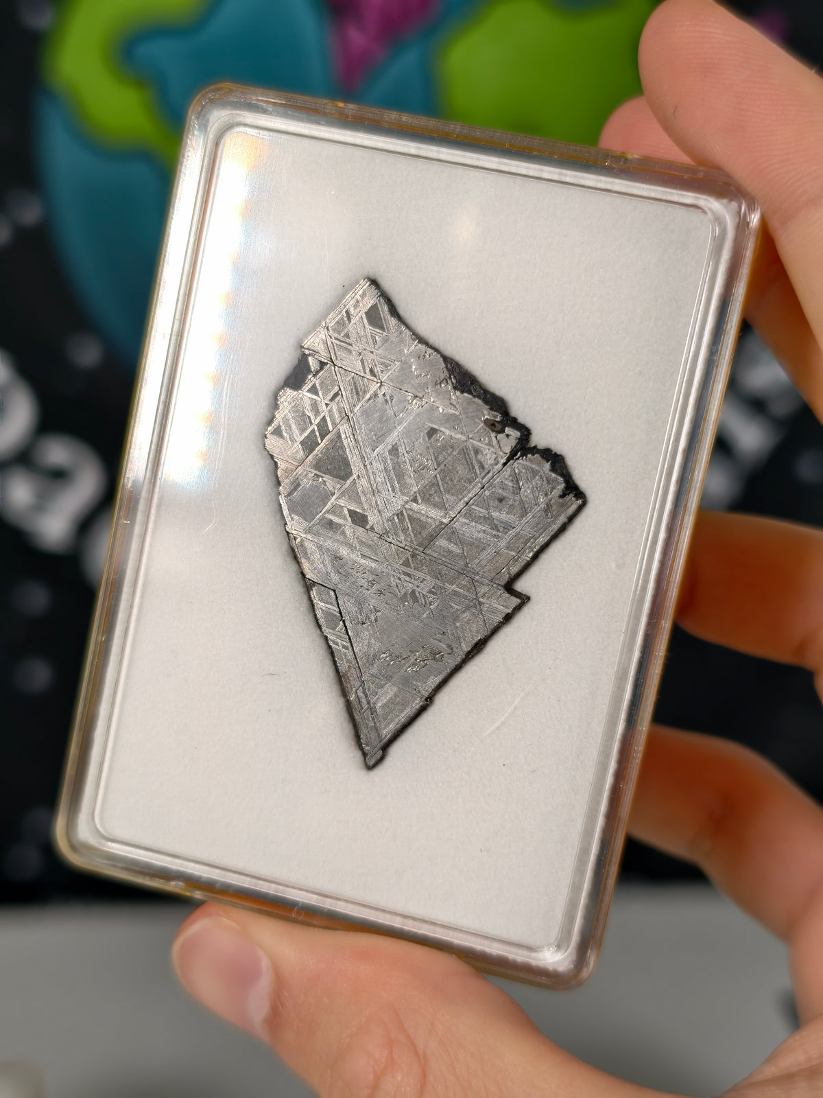 Muonionalusta Meteorit Scheibe 10,56g mit Zertifikat