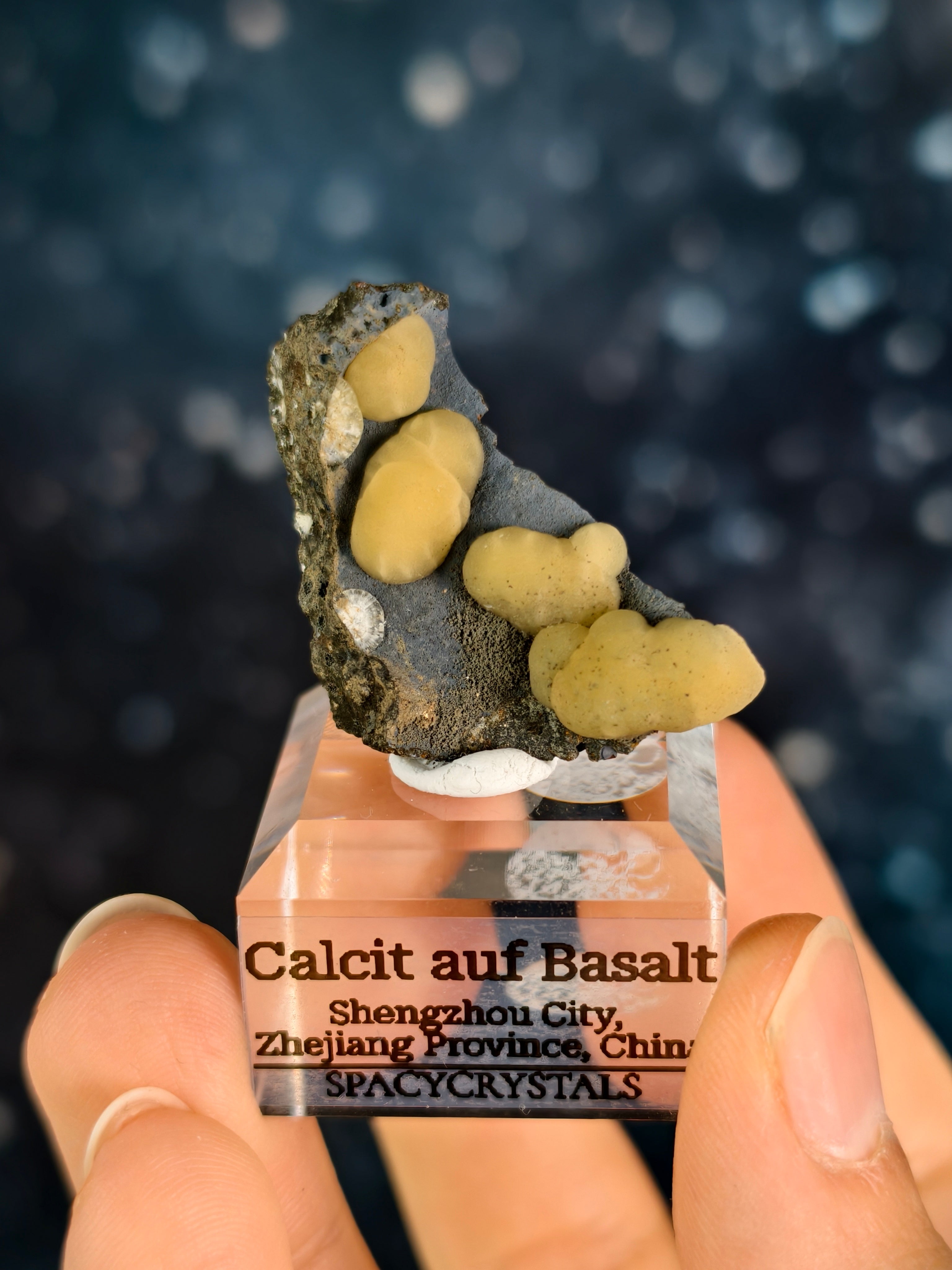 Botryoidaler Calcit auf Basalt - Neuer Fund (klein)