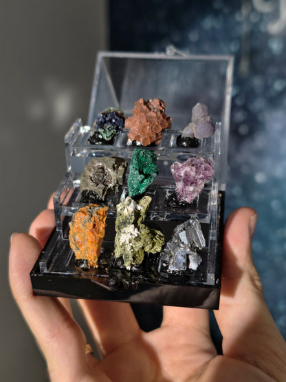 Specimen Box Set (Miniatursammlung)