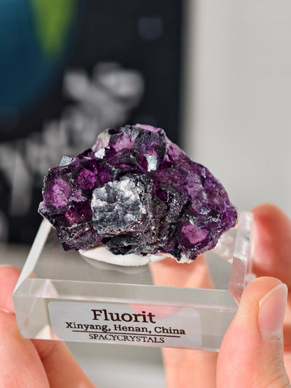 Lila Fluorit Würfel Cluster aus Xinyang