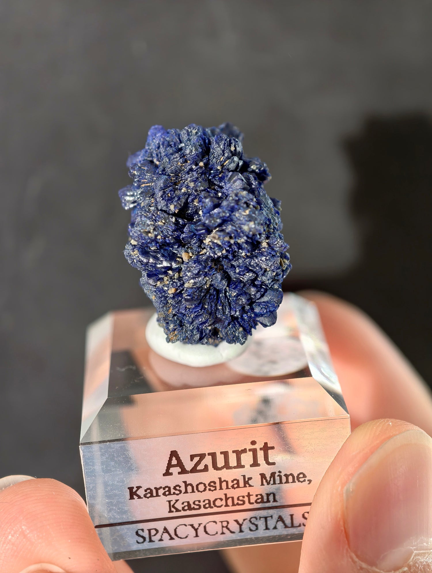 Königsblaue Azurit Kristalle aus Kasachstan