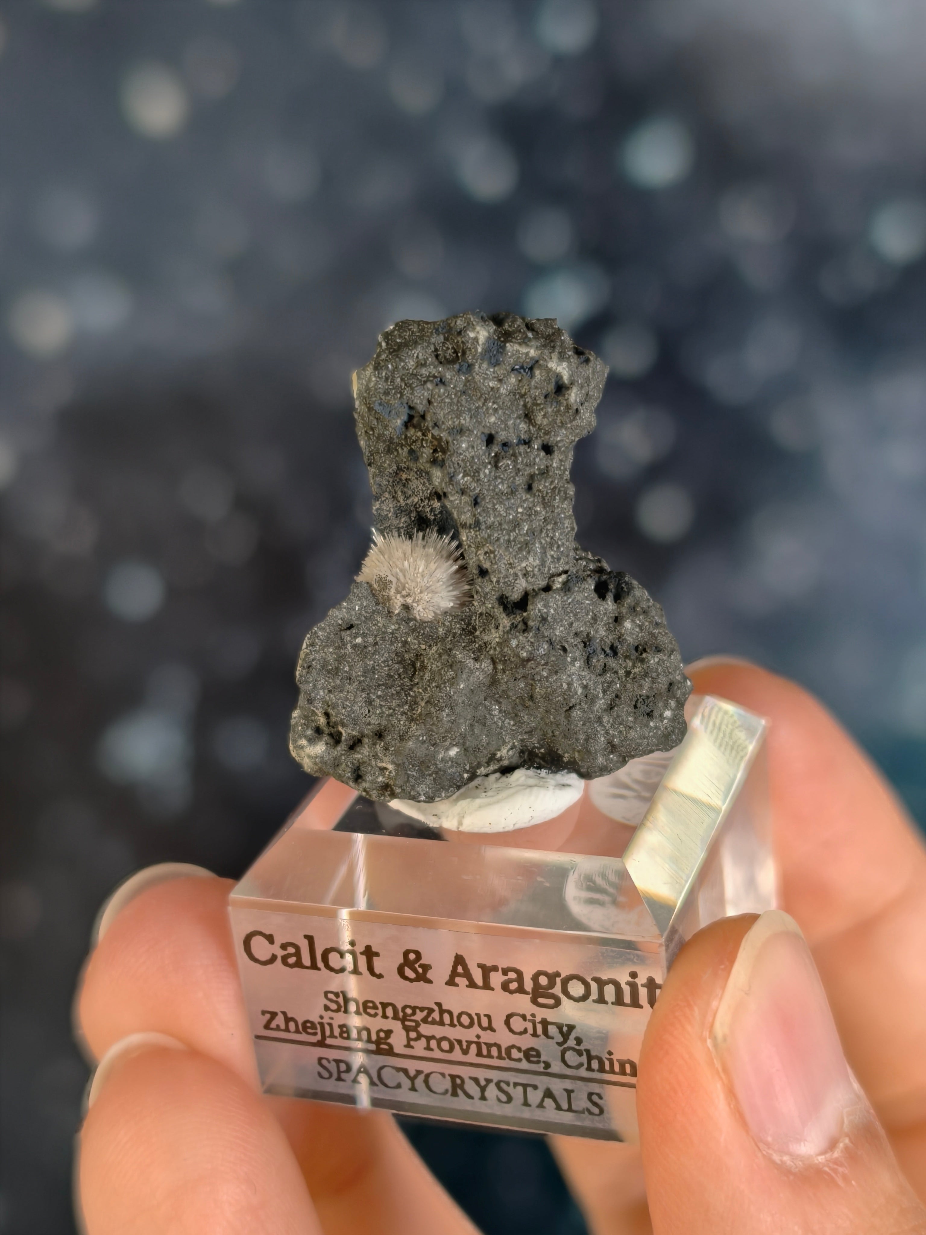Botryoidaler Calcit mit Aragonit Nadeln auf Basalt - Neuer Fund