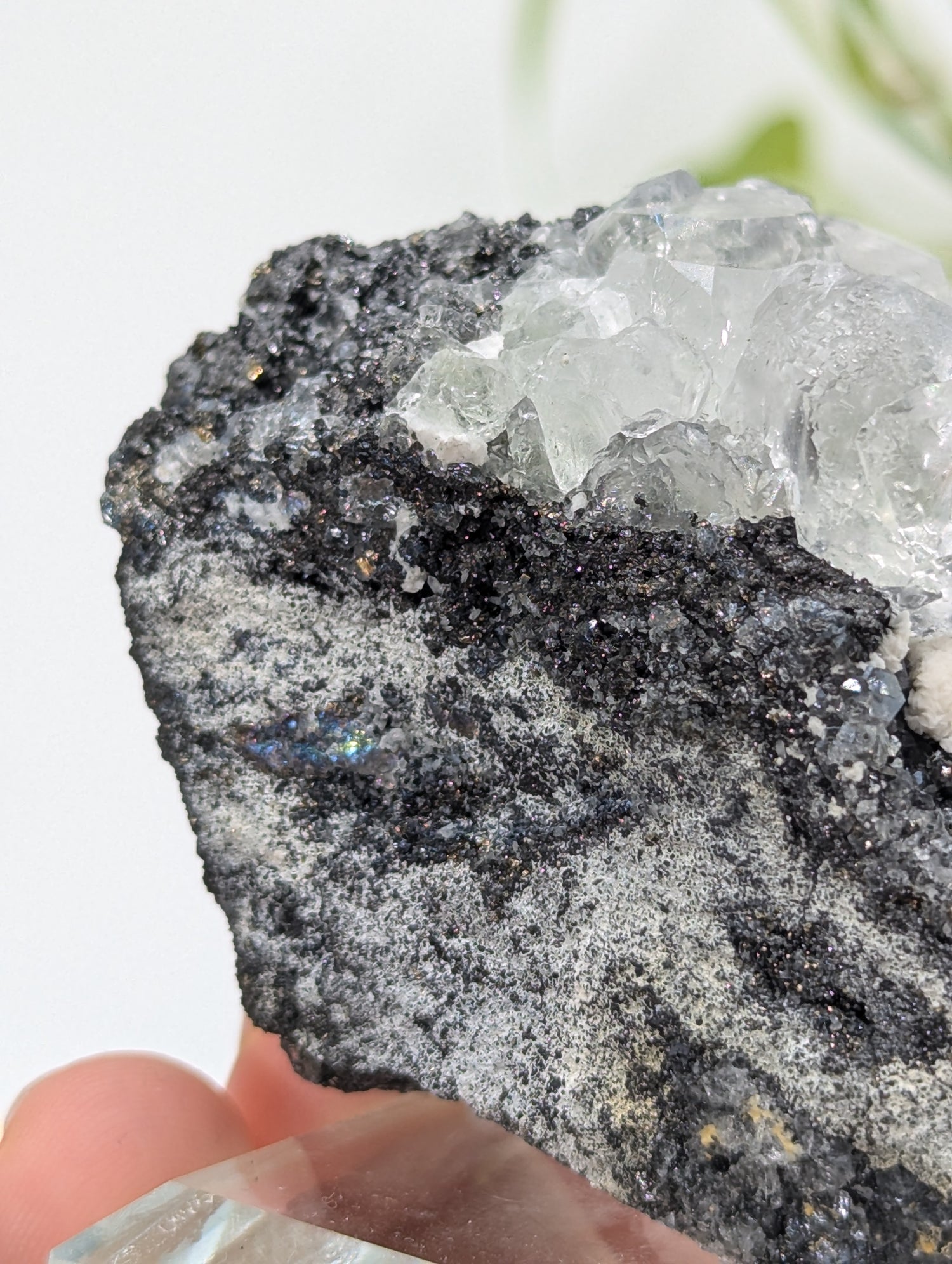 Neuer Fund! Fluorit mit Galenit und Tetraedrit aus Peru