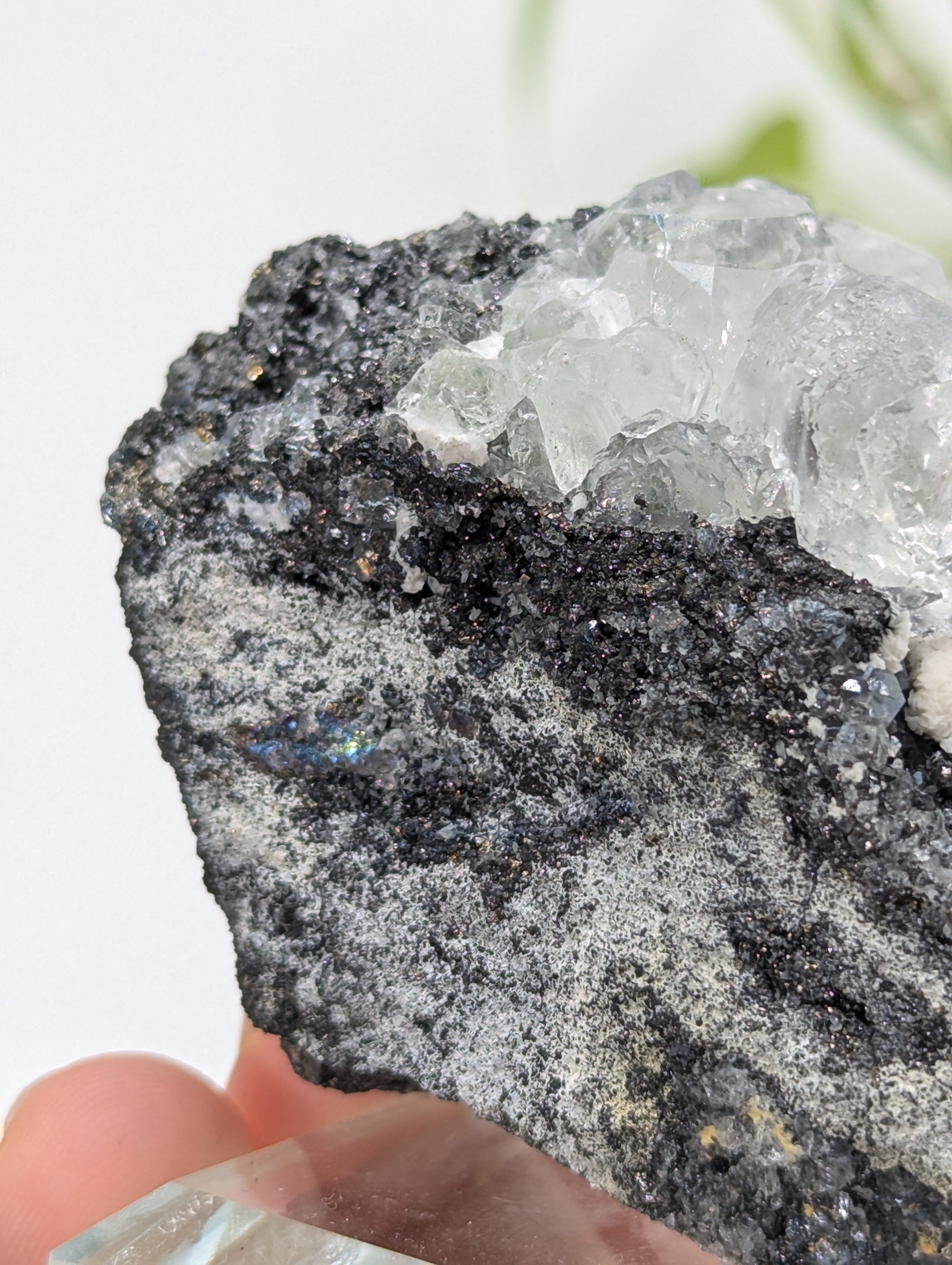 Neuer Fund! Fluorit mit Galenit und Tetraedrit aus Peru