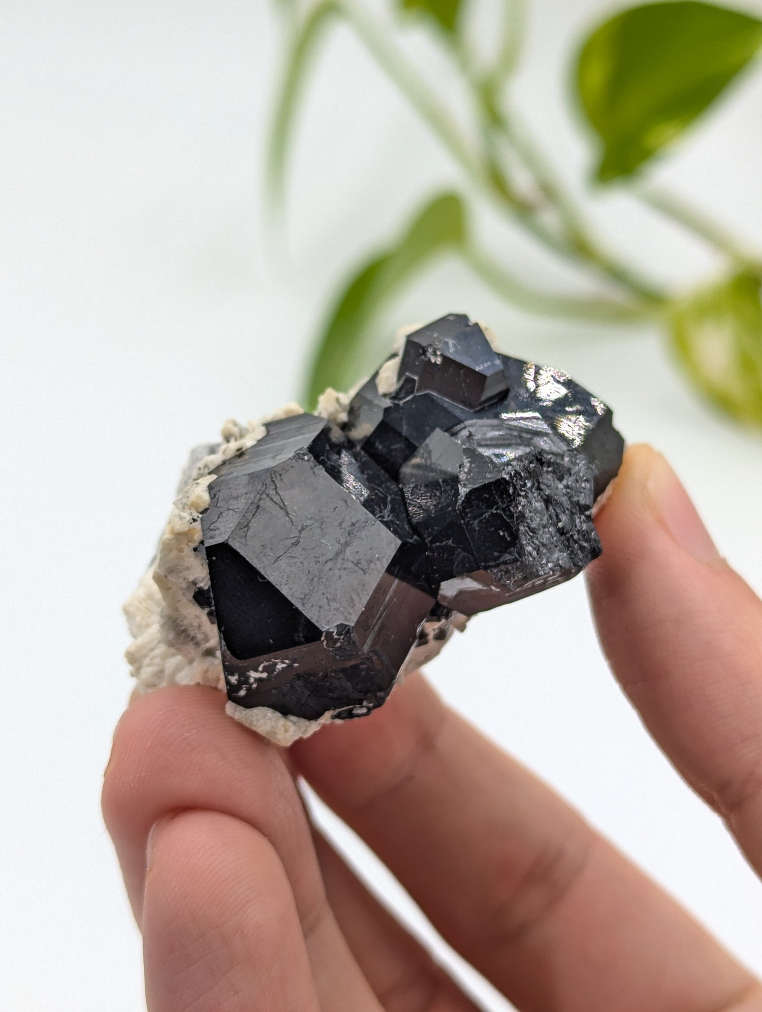 Schwarzer Turmalin (Schörl) aus Erongo