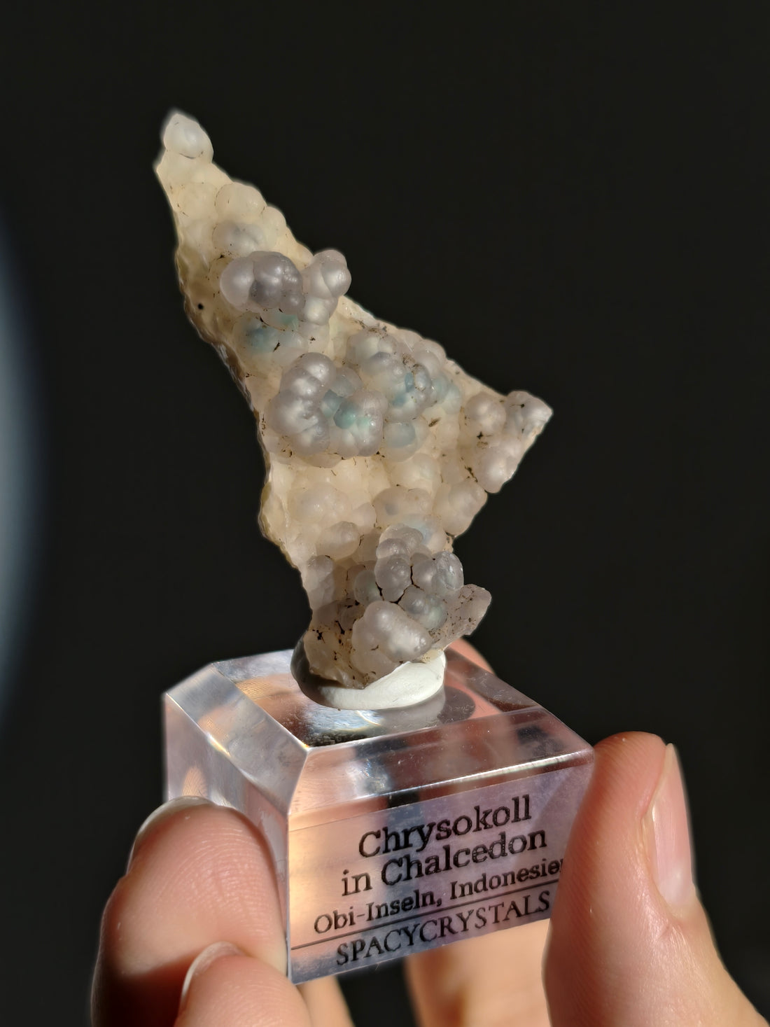 Neufund! Chrysokoll in Chalcedon aus Indonesien