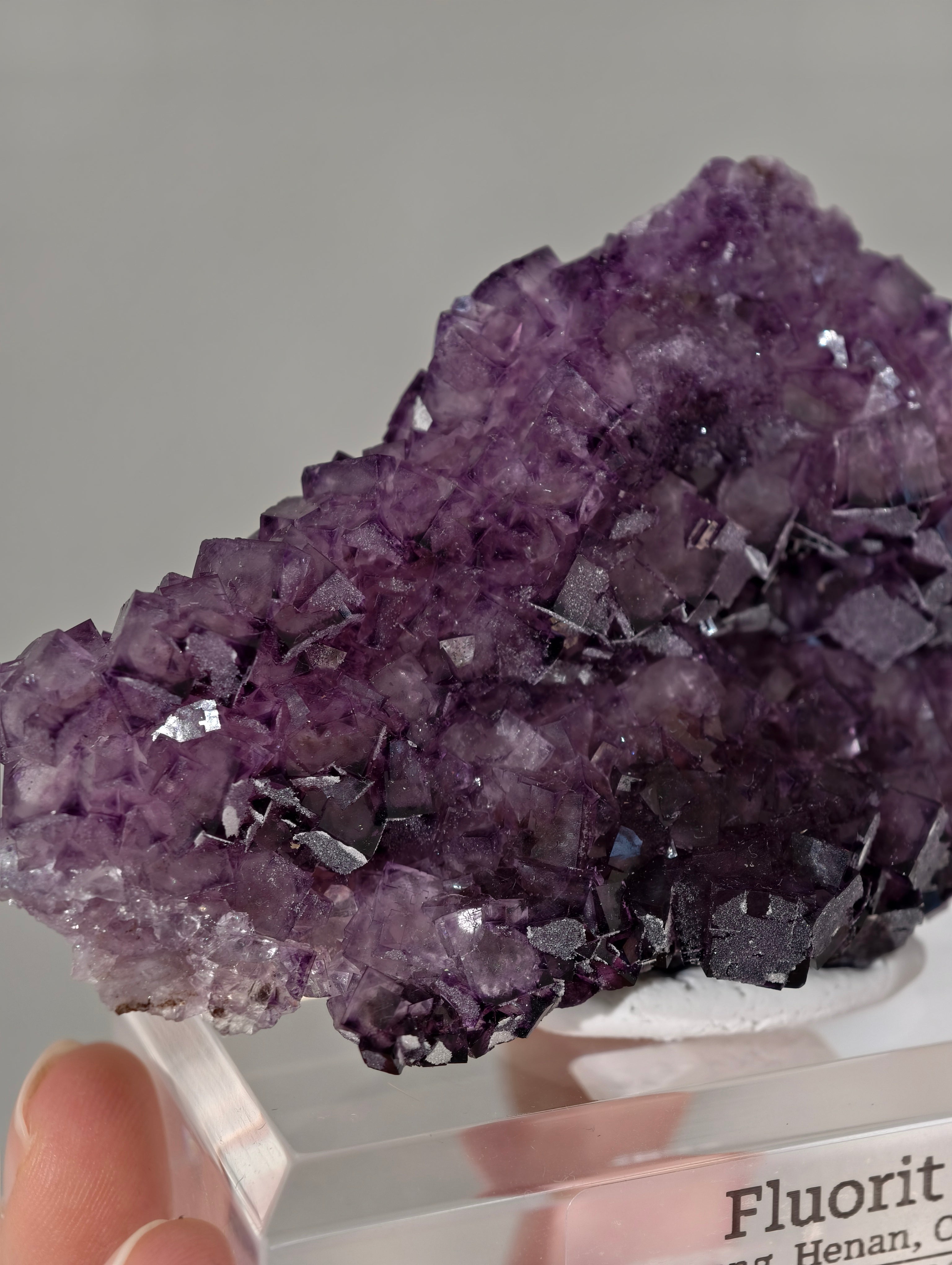 Lila Fluorit Würfel Cluster aus Xinyang