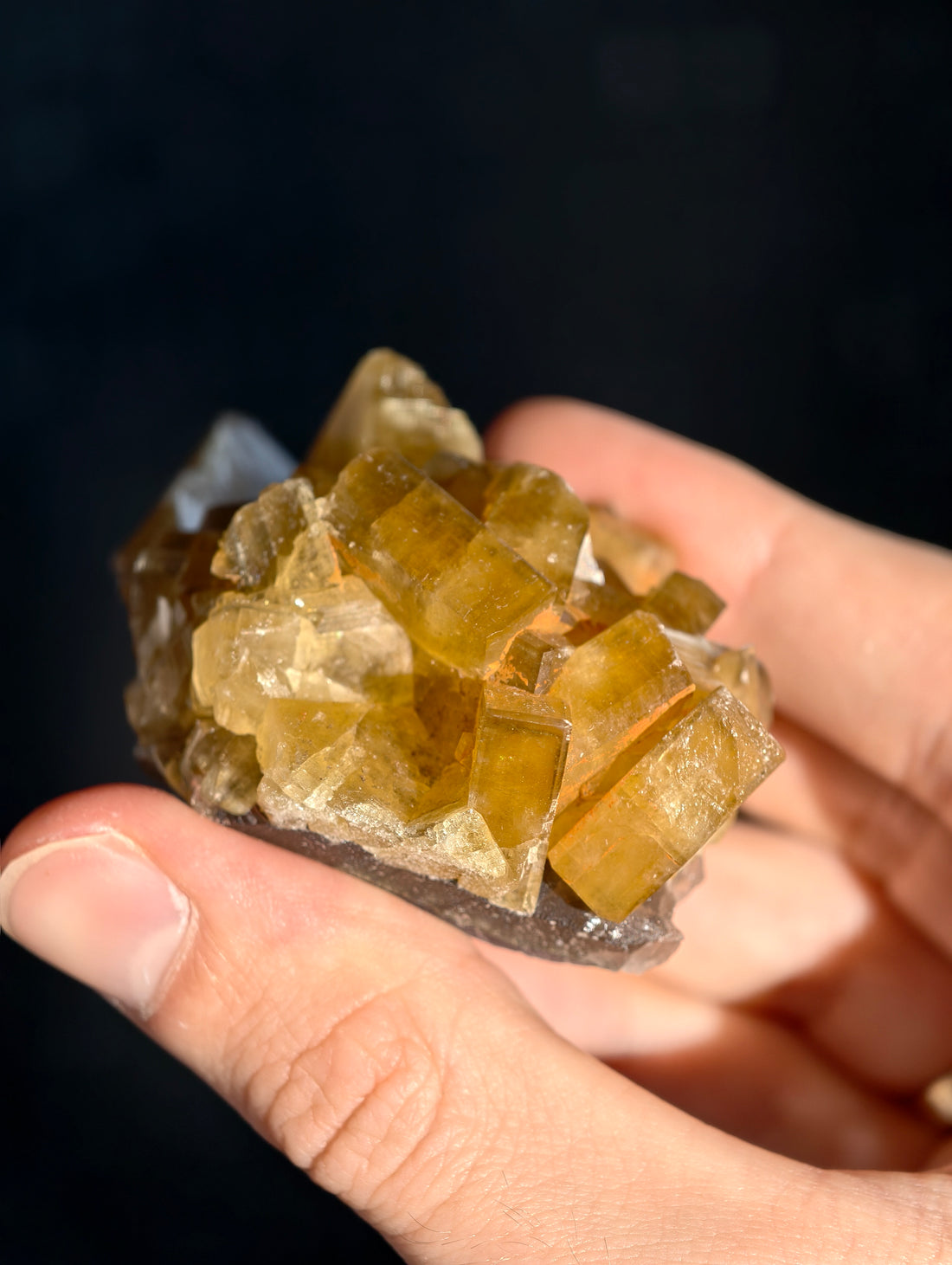 Goldgelber Barit 🍯 aus Jiangxi