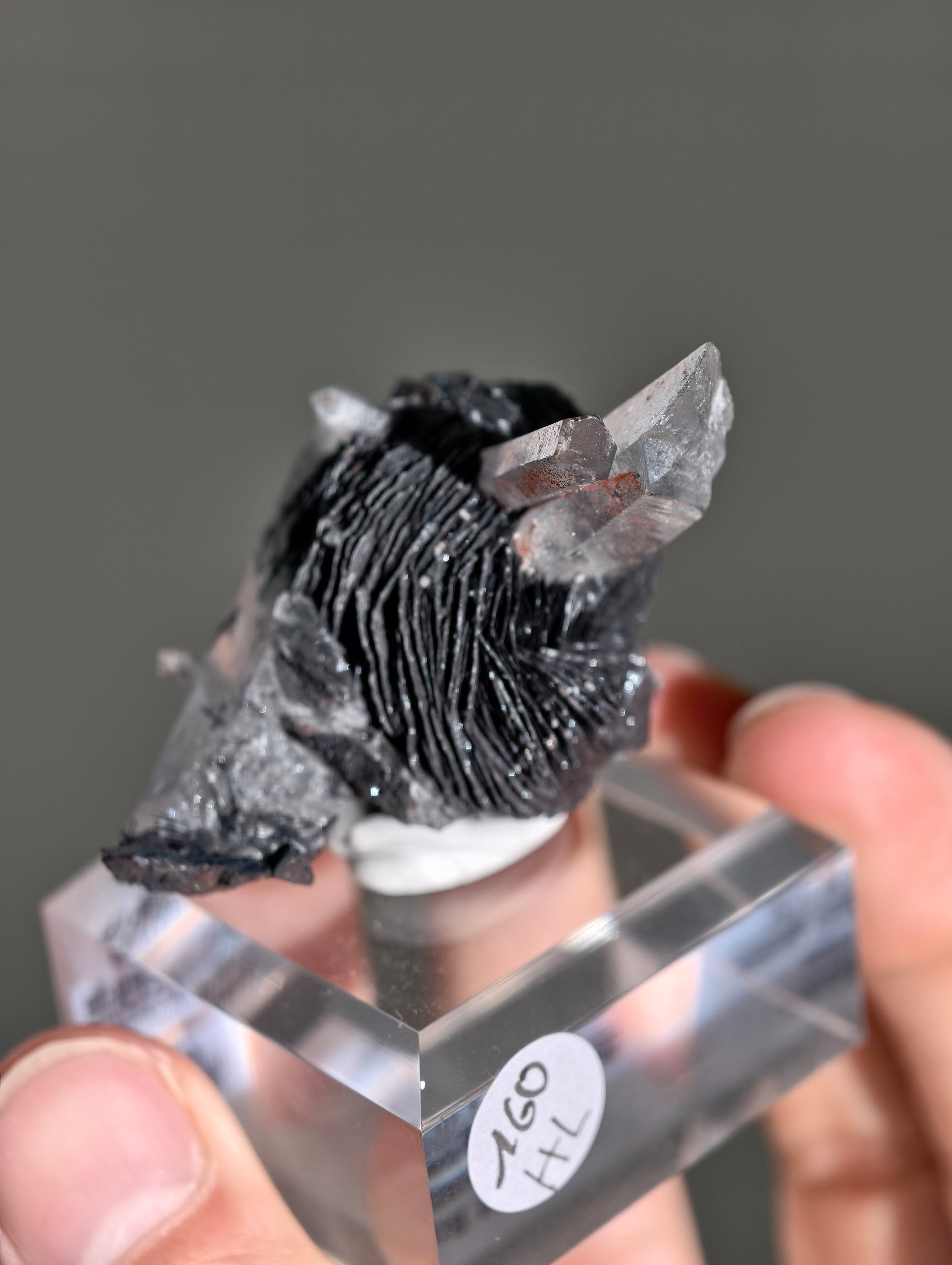 Schwarze Hämatit Rose mit Bergkristall aus Jinlong