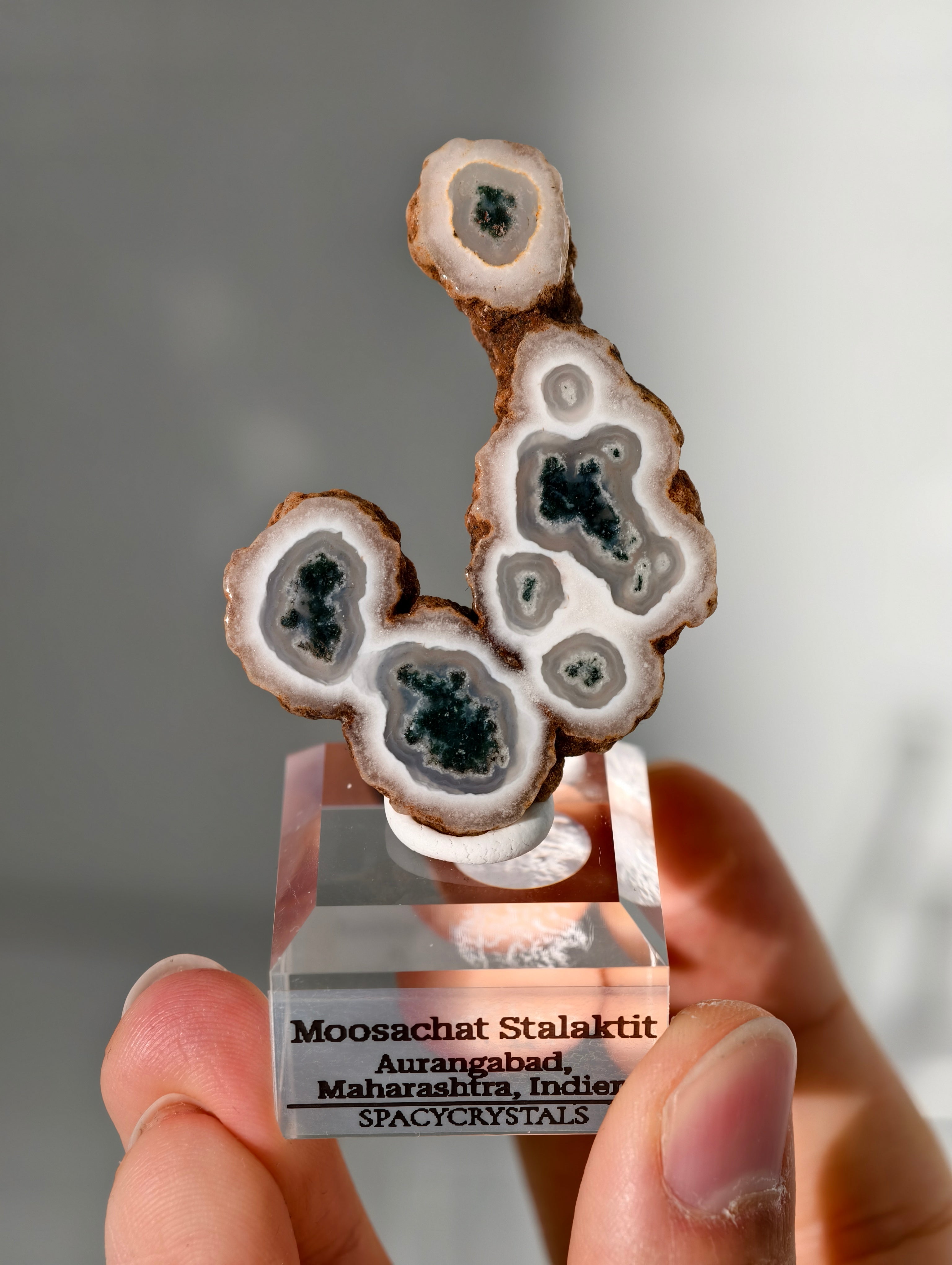 Moosachat Stalaktit Scheiben aus Indien (größer)