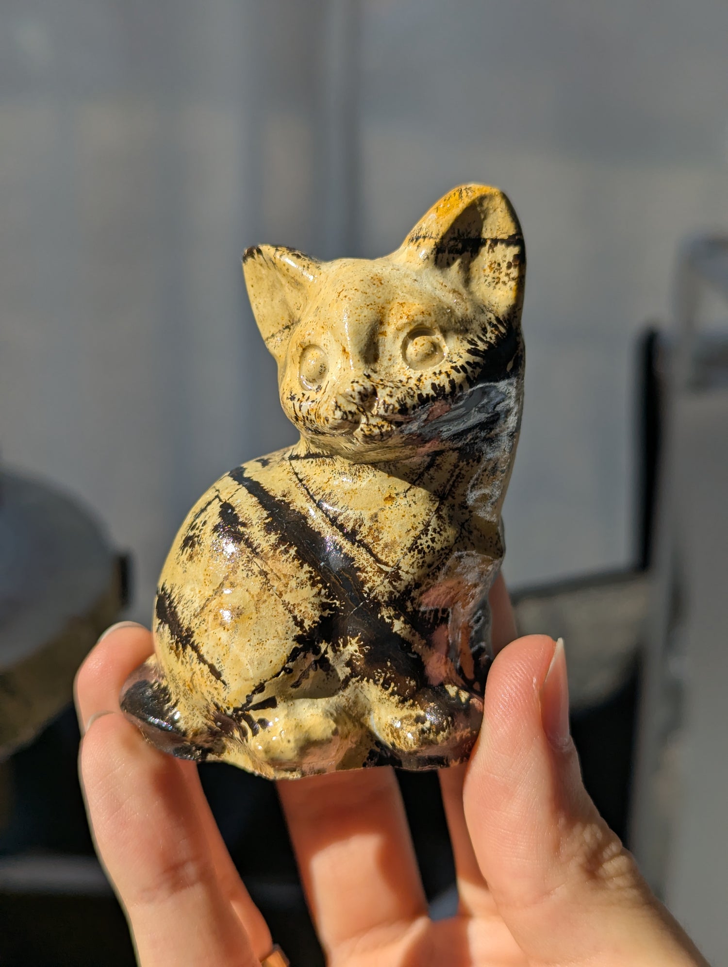Bilderjaspis Katze 🐈 (wähle deine eigene)