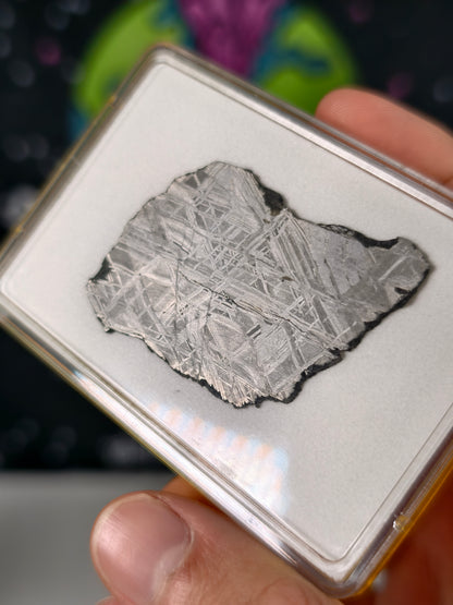 Muonionalusta Meteorit Scheibe 16,24g mit Zertifikat