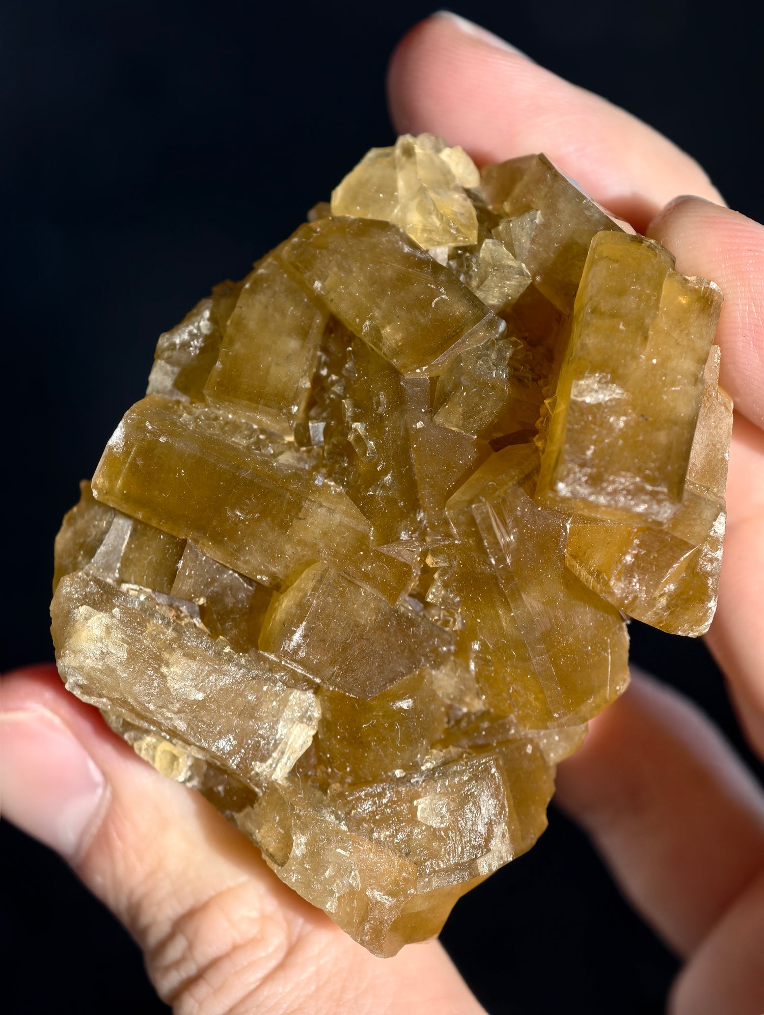Goldgelber Barit 🍯 aus Jiangxi