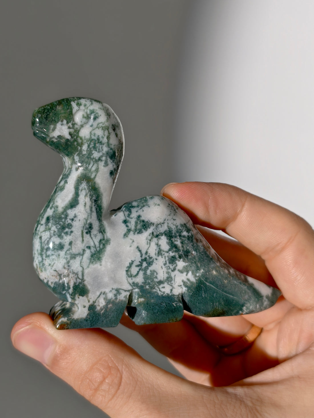 Moosachat Dino 🦕 (Brontosaurus)
