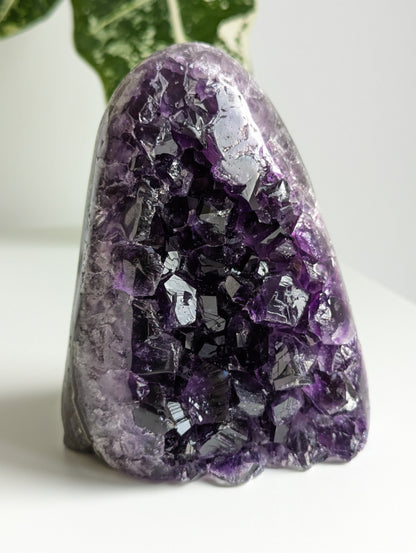 Amethyst Druse AAA-Qualität aus Uruguay