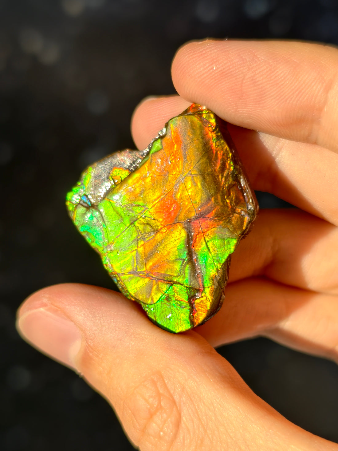 Ammolit Stück aus Kanada