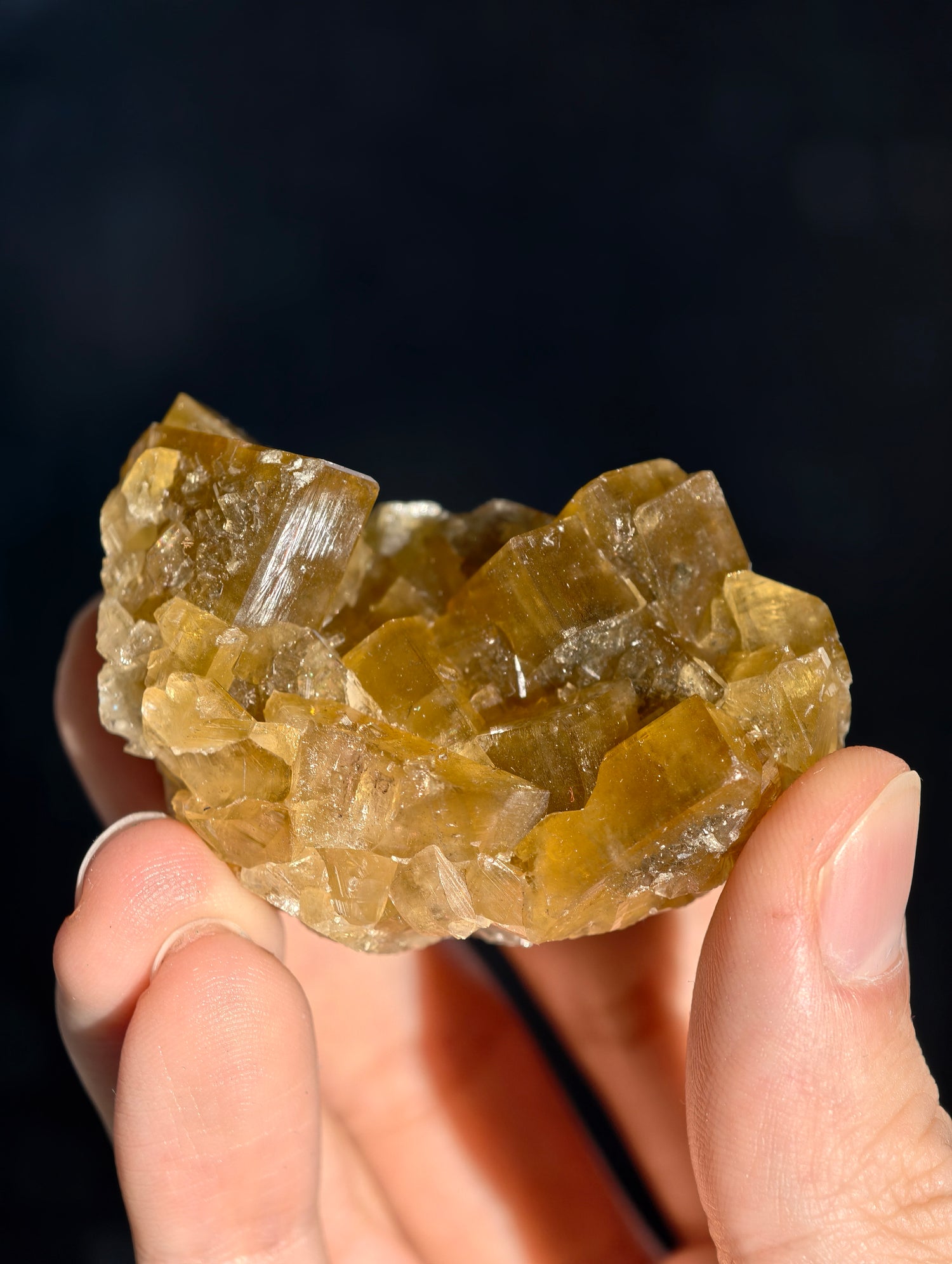 Goldgelber Barit 🍯 aus Jiangxi