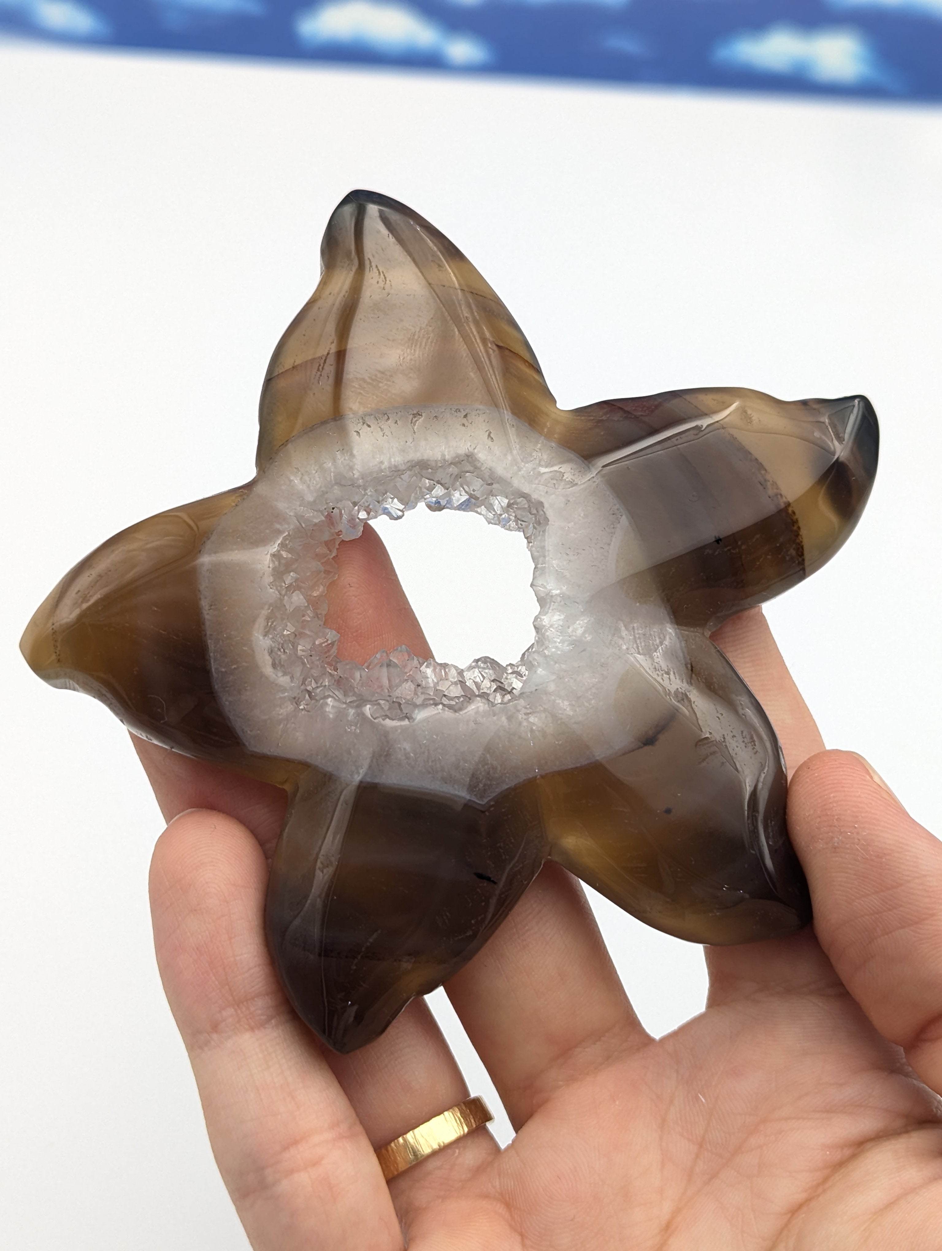 Achat Seestern mit Kristall Druse