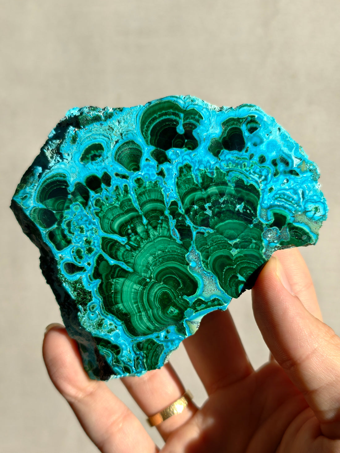 Chrysokoll x Malachit Platte/Scheibe (wähle dein Stück)